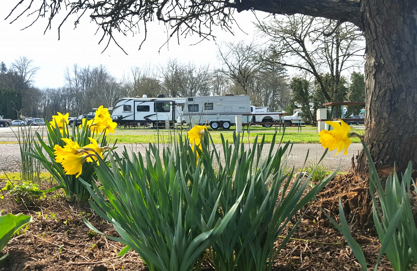 Eugene Kamping World RV Park