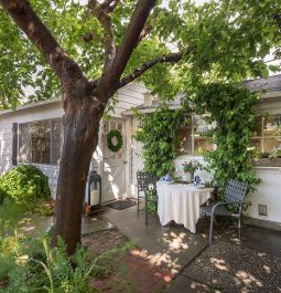 Trees around rental house outside