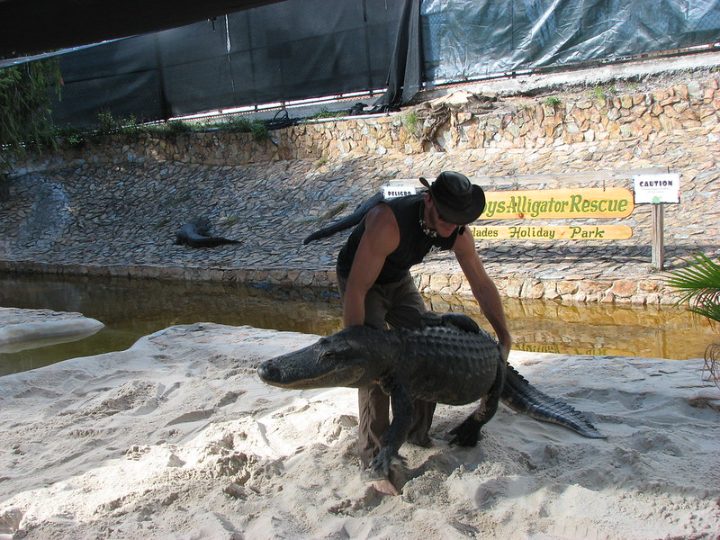 The Gator Boys Alligator Rescue is a highlight at Everglades Holiday Park.