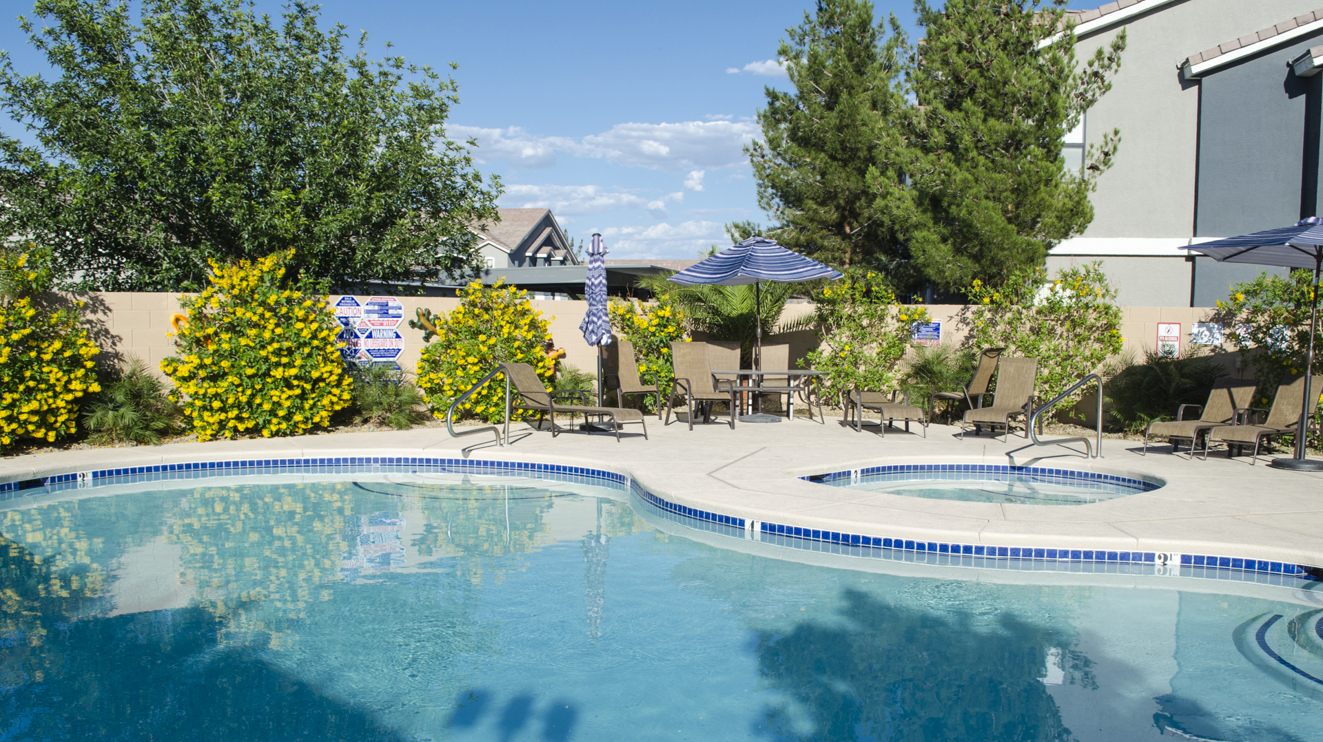 A lovely pool to cool off in the Vegas heat