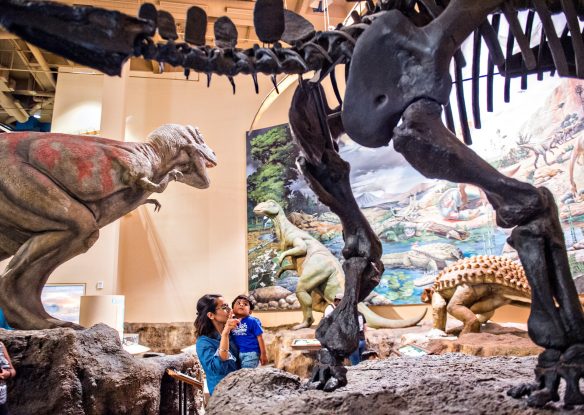 dinosaur exhibits at Fernbank Museum