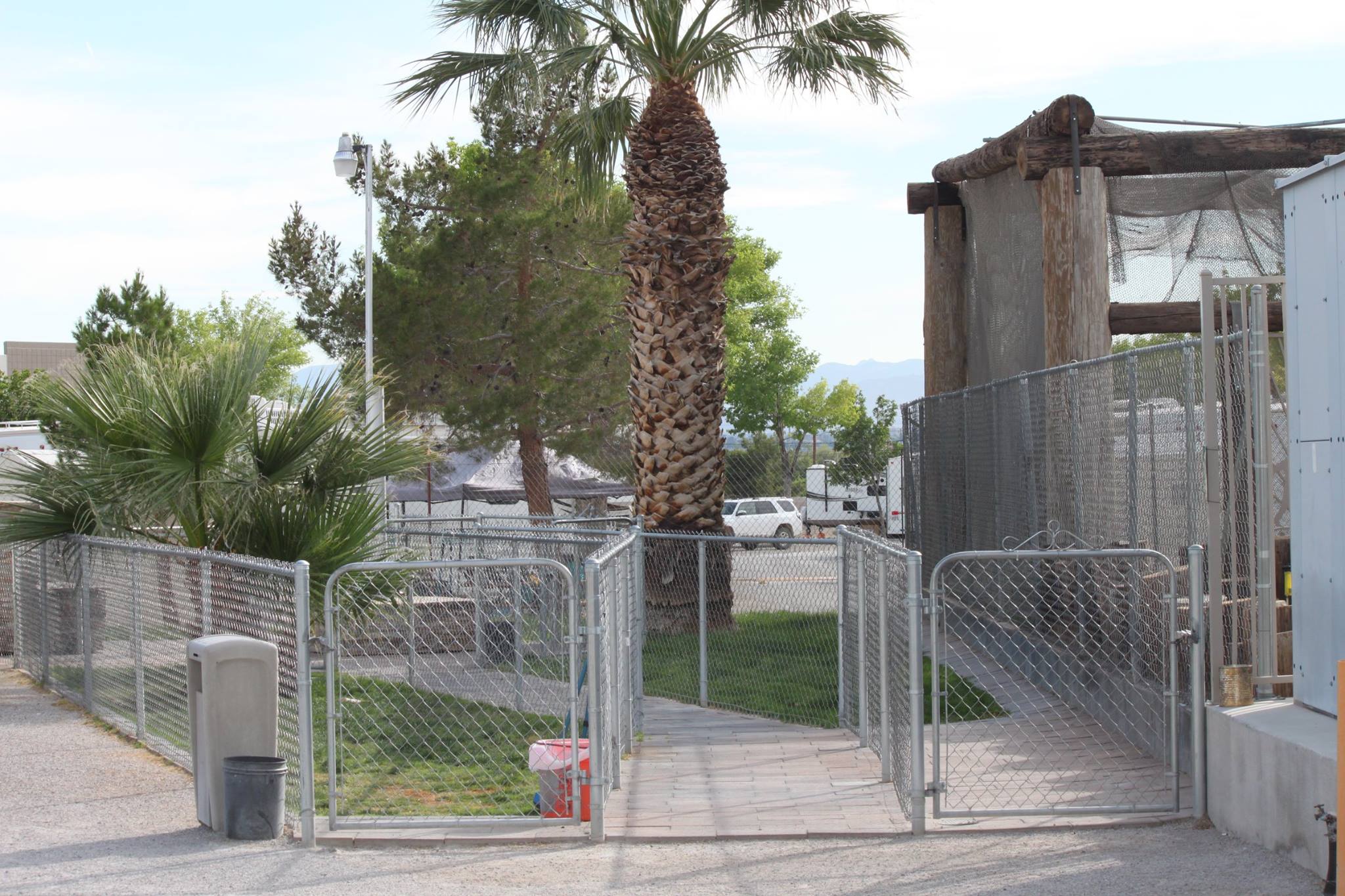 Let your dogs run around in the fenced area