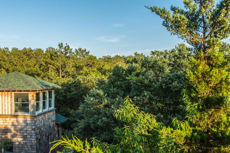 A private pine forest all your own