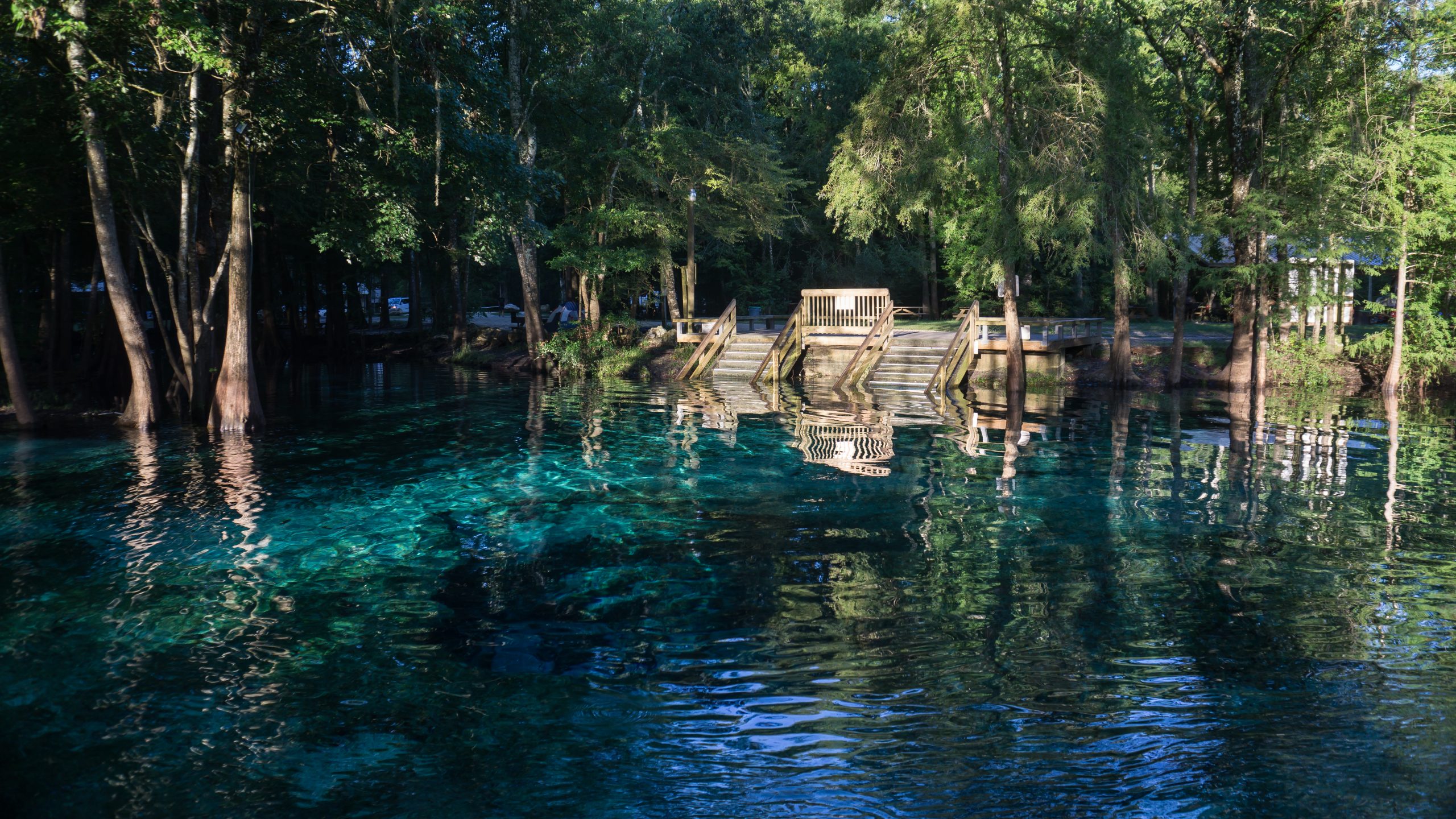 Ginnie Springs