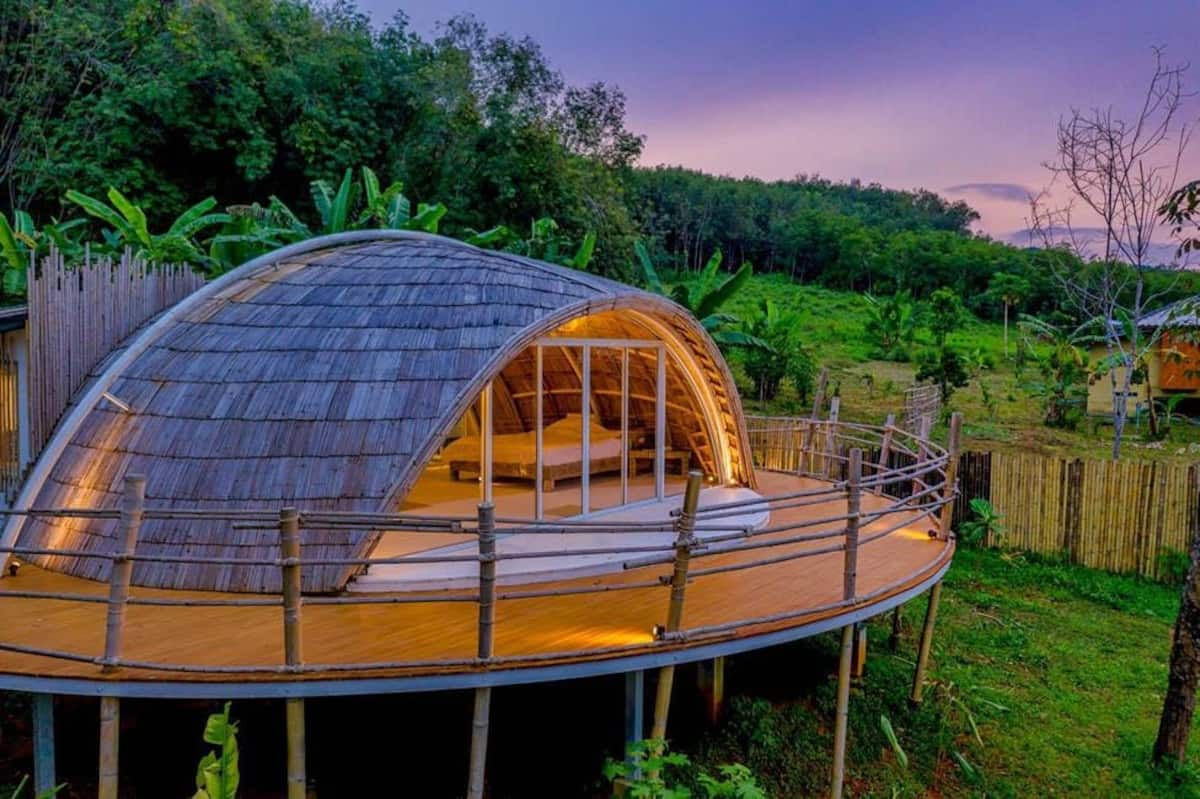 Spaceship-esque cocoons surrounded by nature