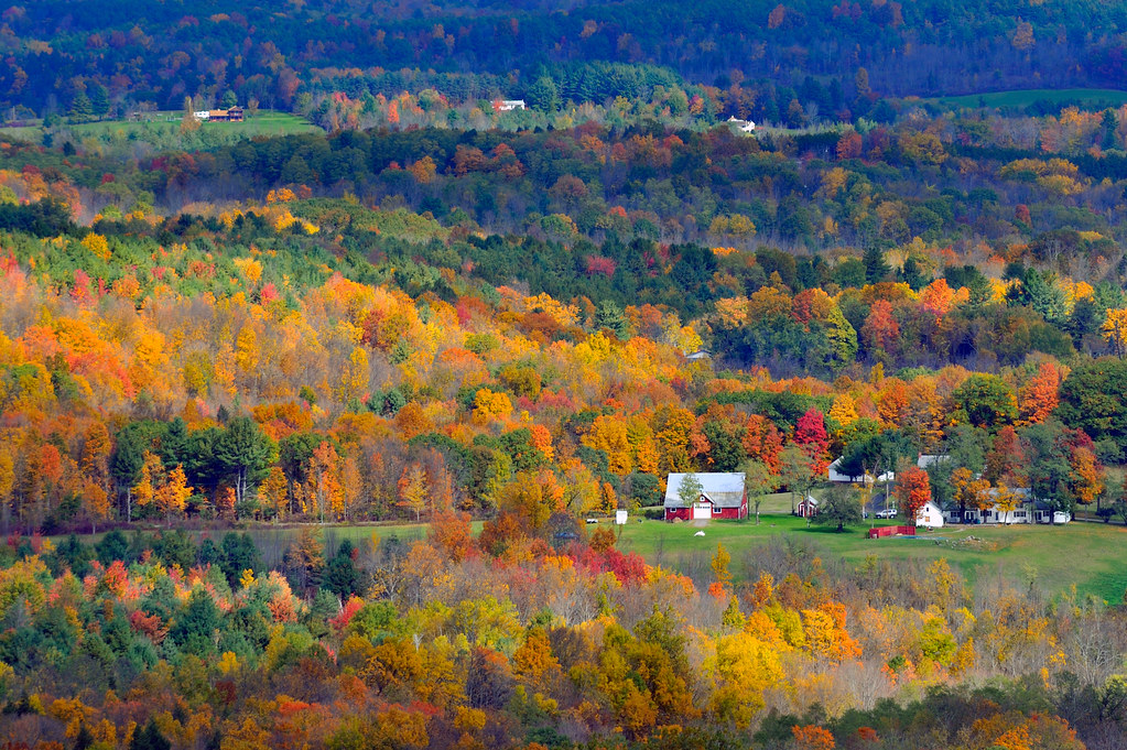 Fall in the Catskills New York