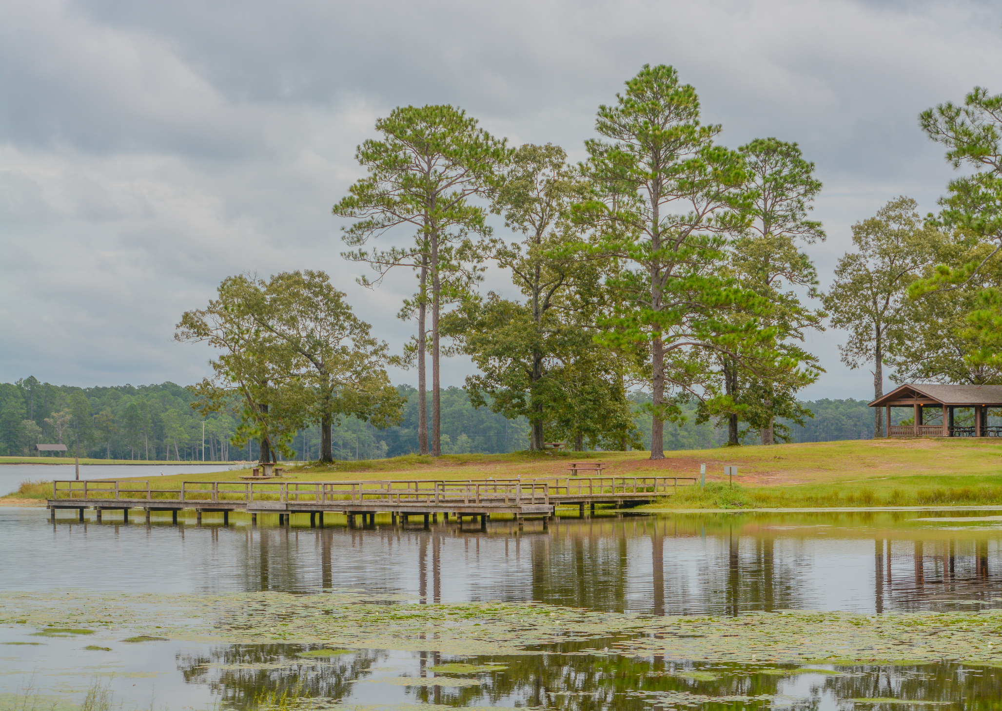 View of Geiger Lake in the wilderness of Pine Belt Region of Hattiesburg, Mississippi