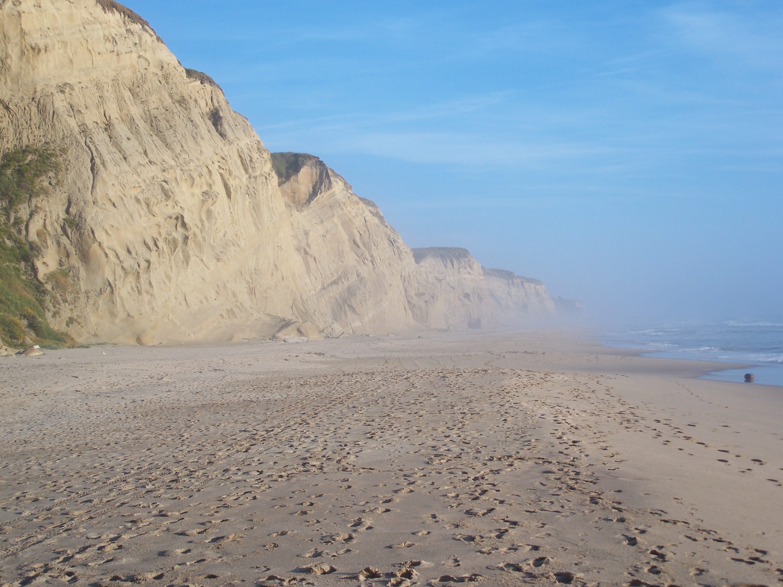 San Gregorio Beach - San Mateo