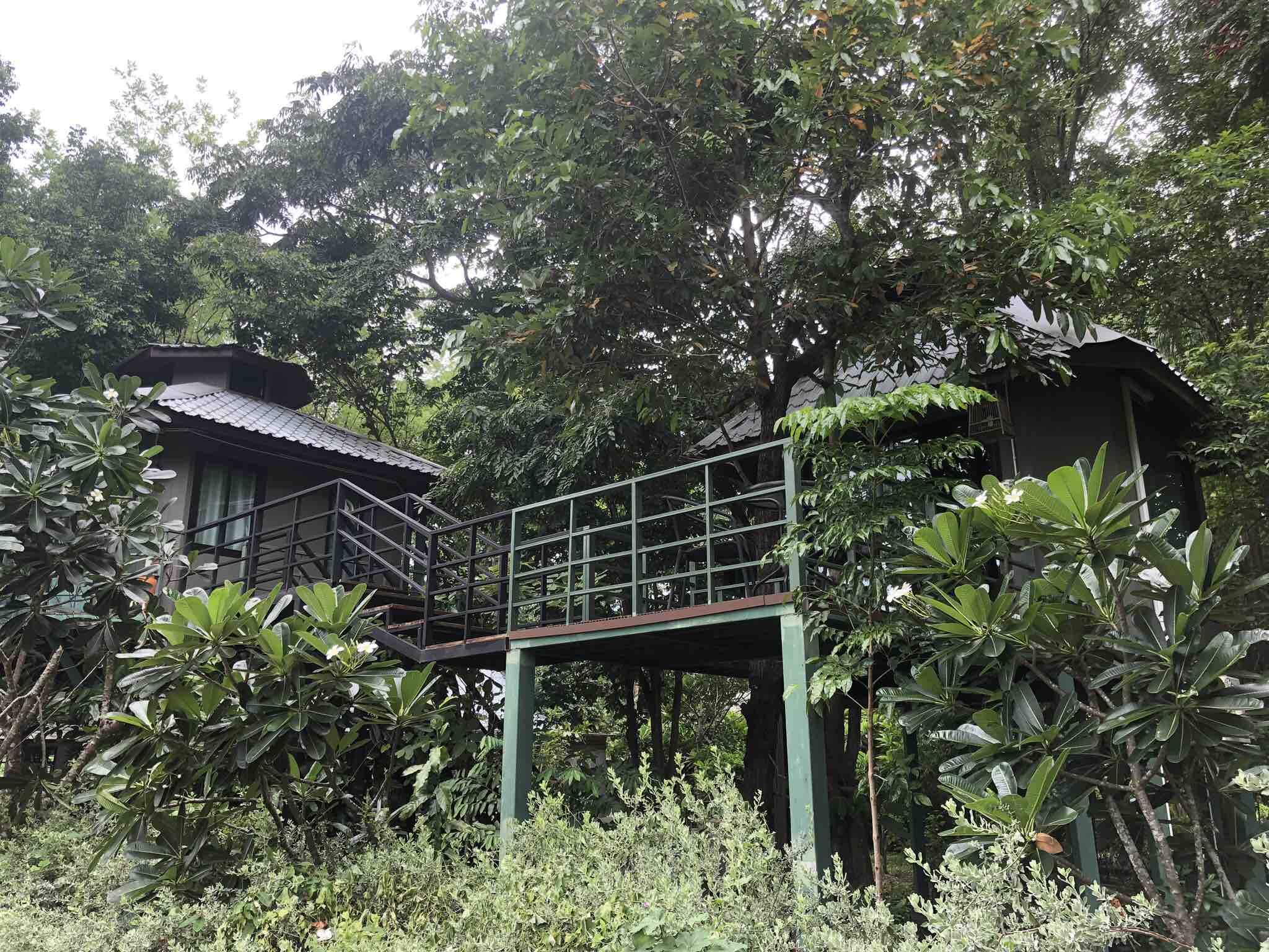 Treehouse perched on stilts in the trees