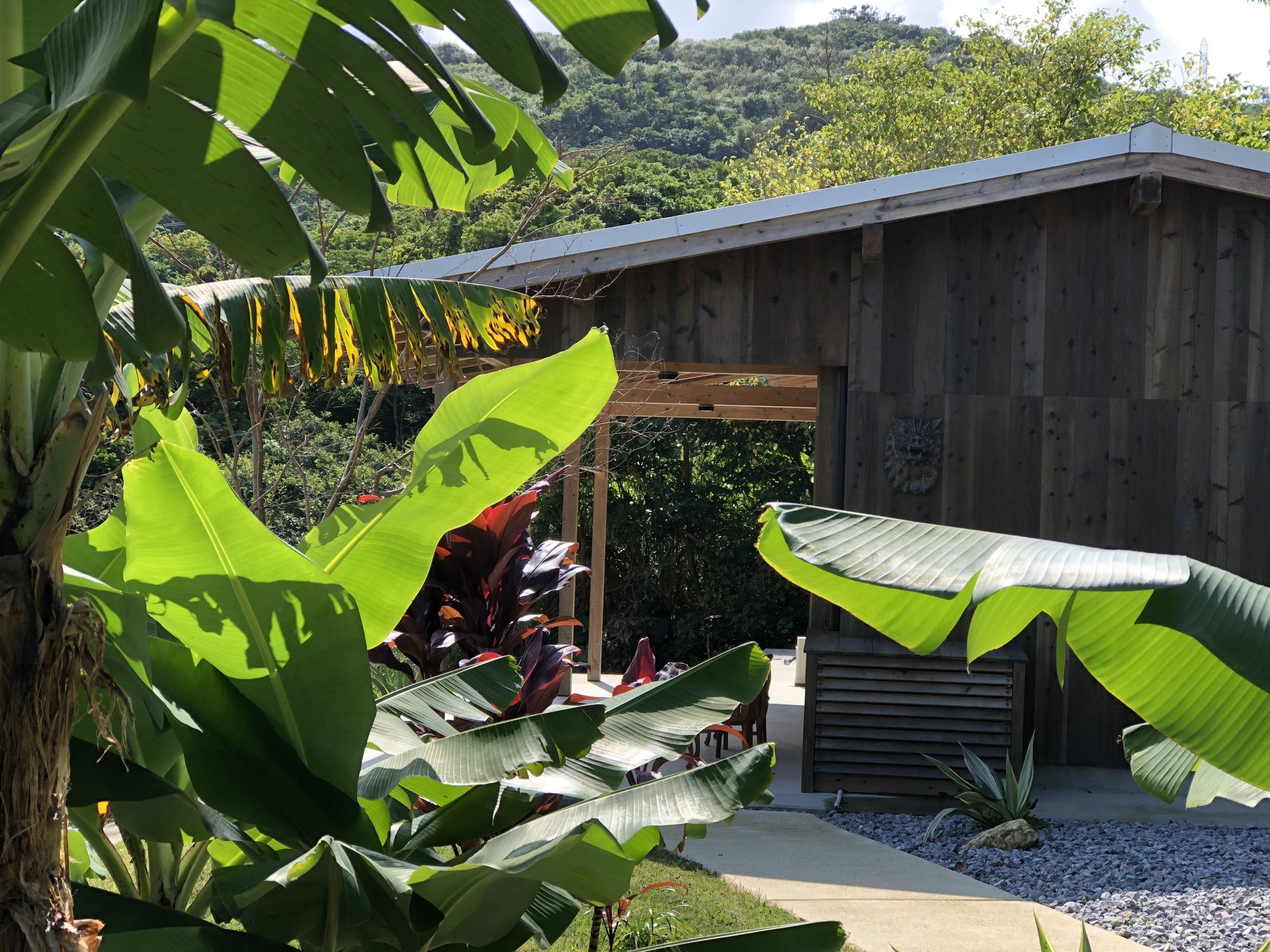 House with vista of banana fields and forests