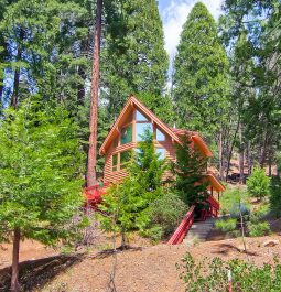 Red triangular cabin in the woods surrounded by greenery