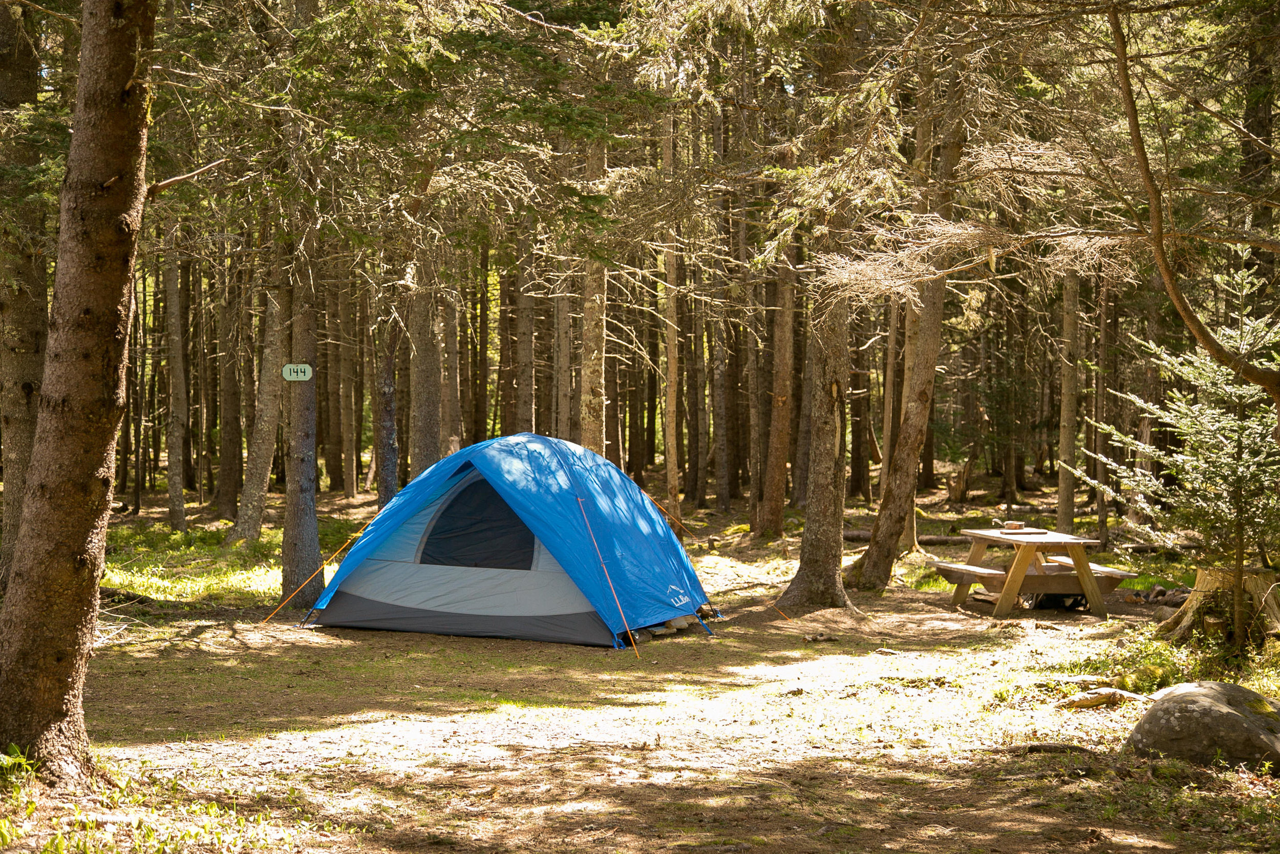 Mountains, trails, and forests all around you