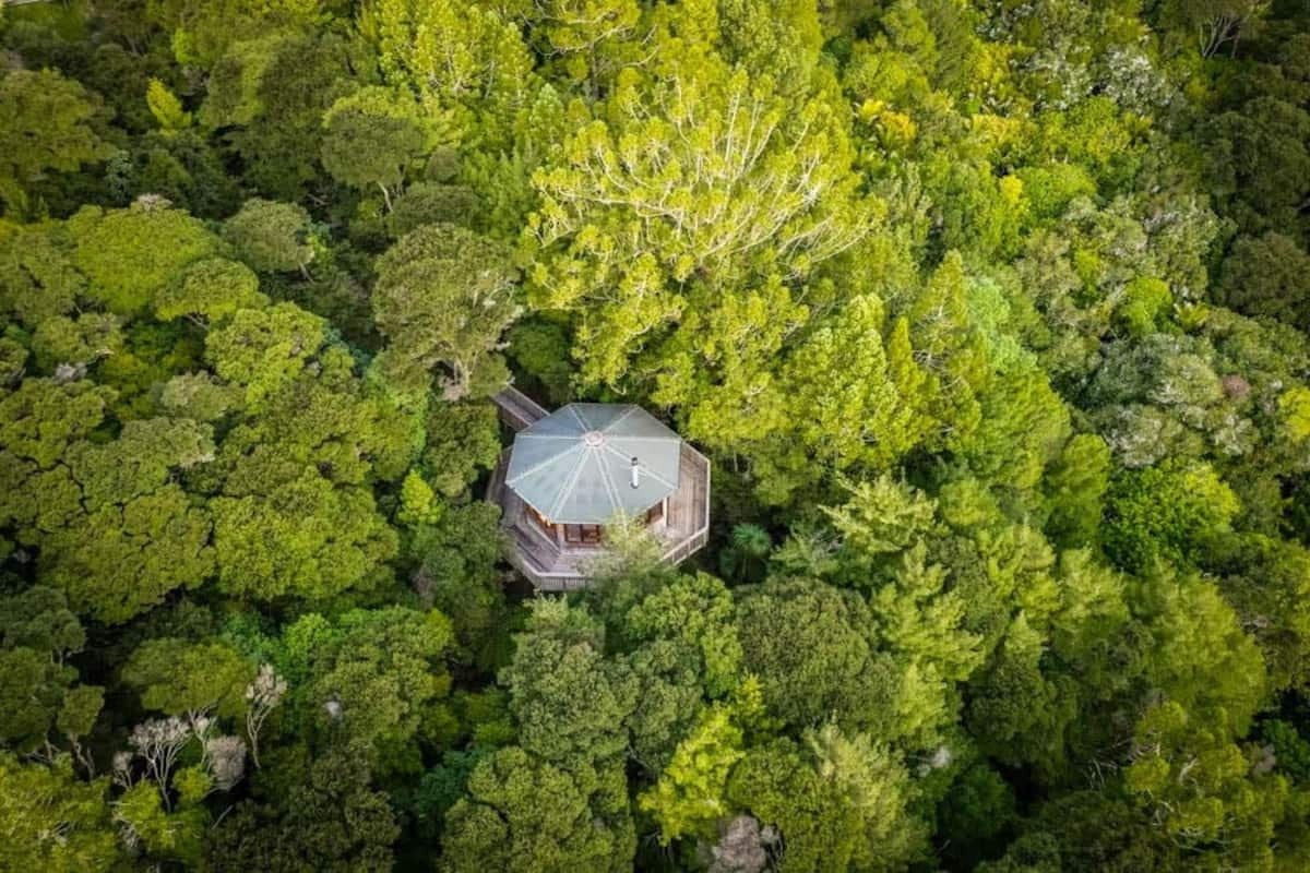 Treehouse tucked away in dense forest