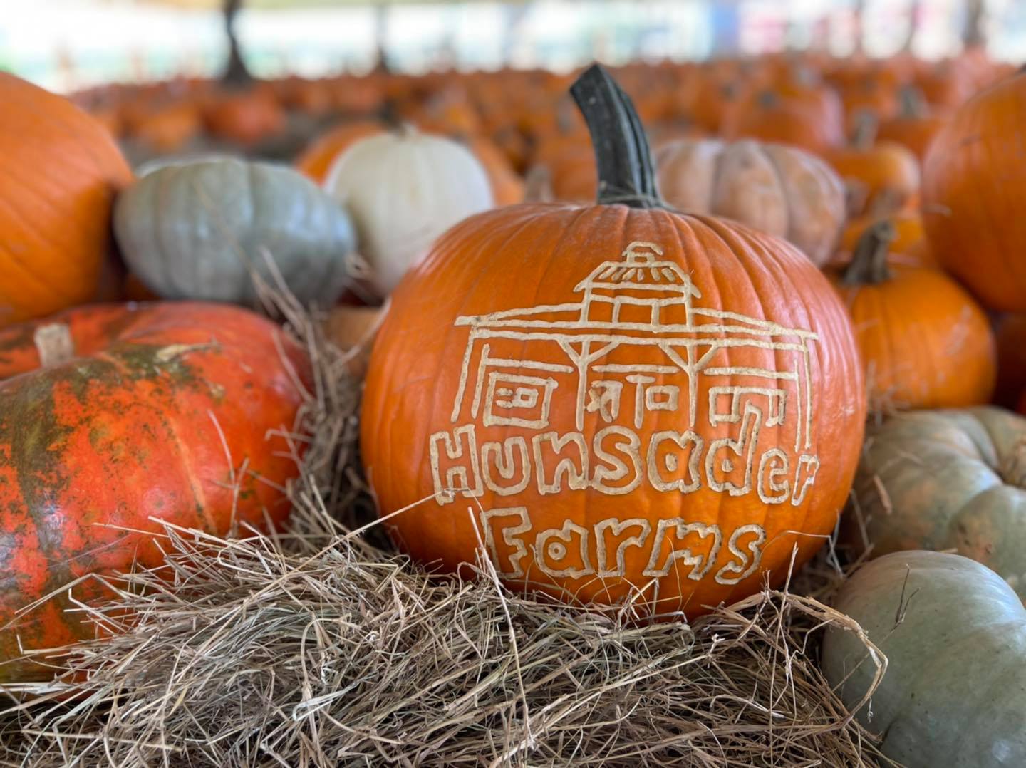 Hunsader Farms Pumpkin Festival