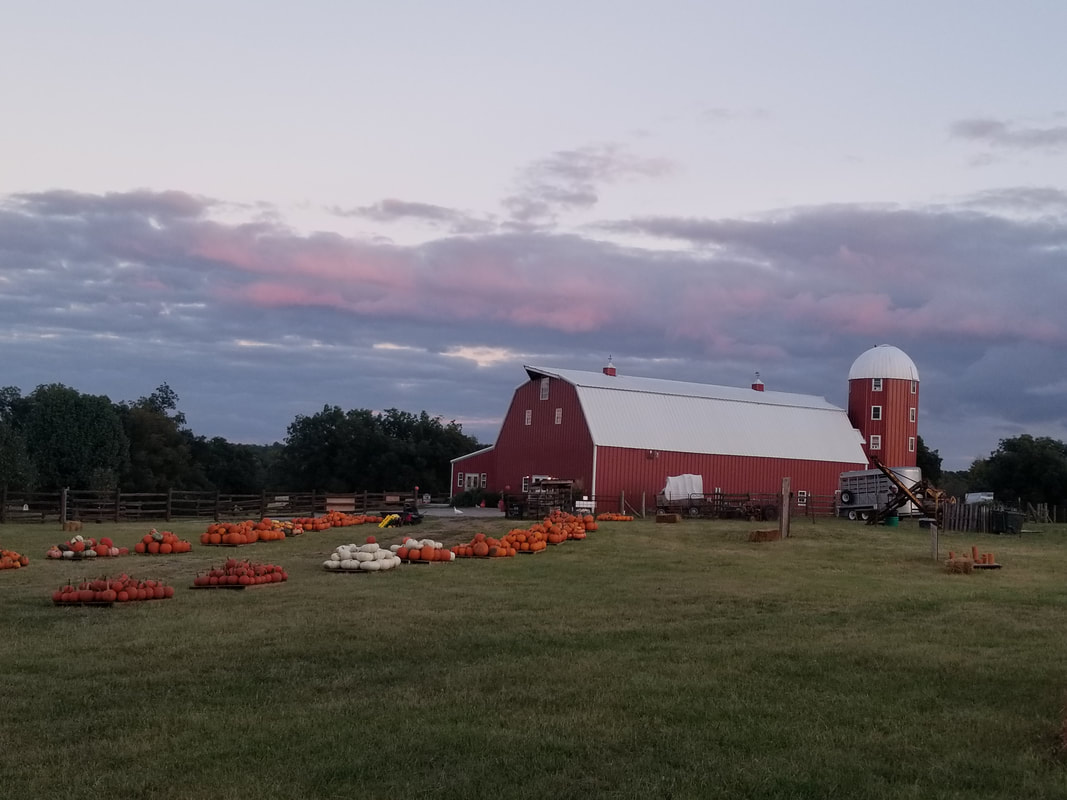 Pumpkin Festival at Shepherd's Cross   