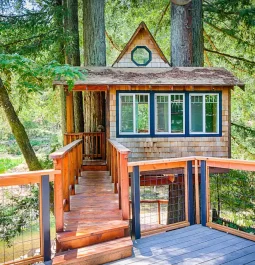 Stairs leading to treehouse