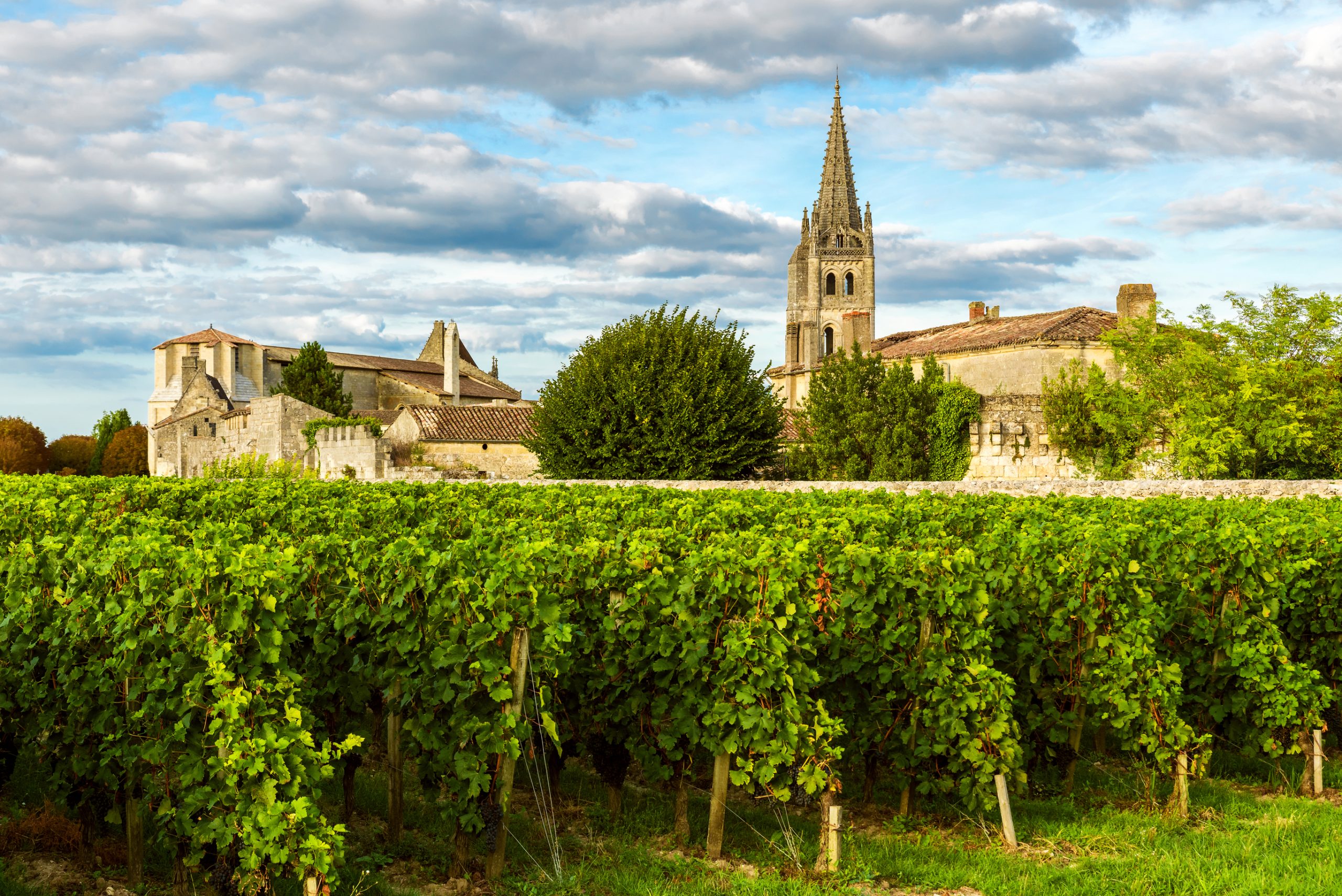 Bordeaux vineyards in Saint-Émilion, France