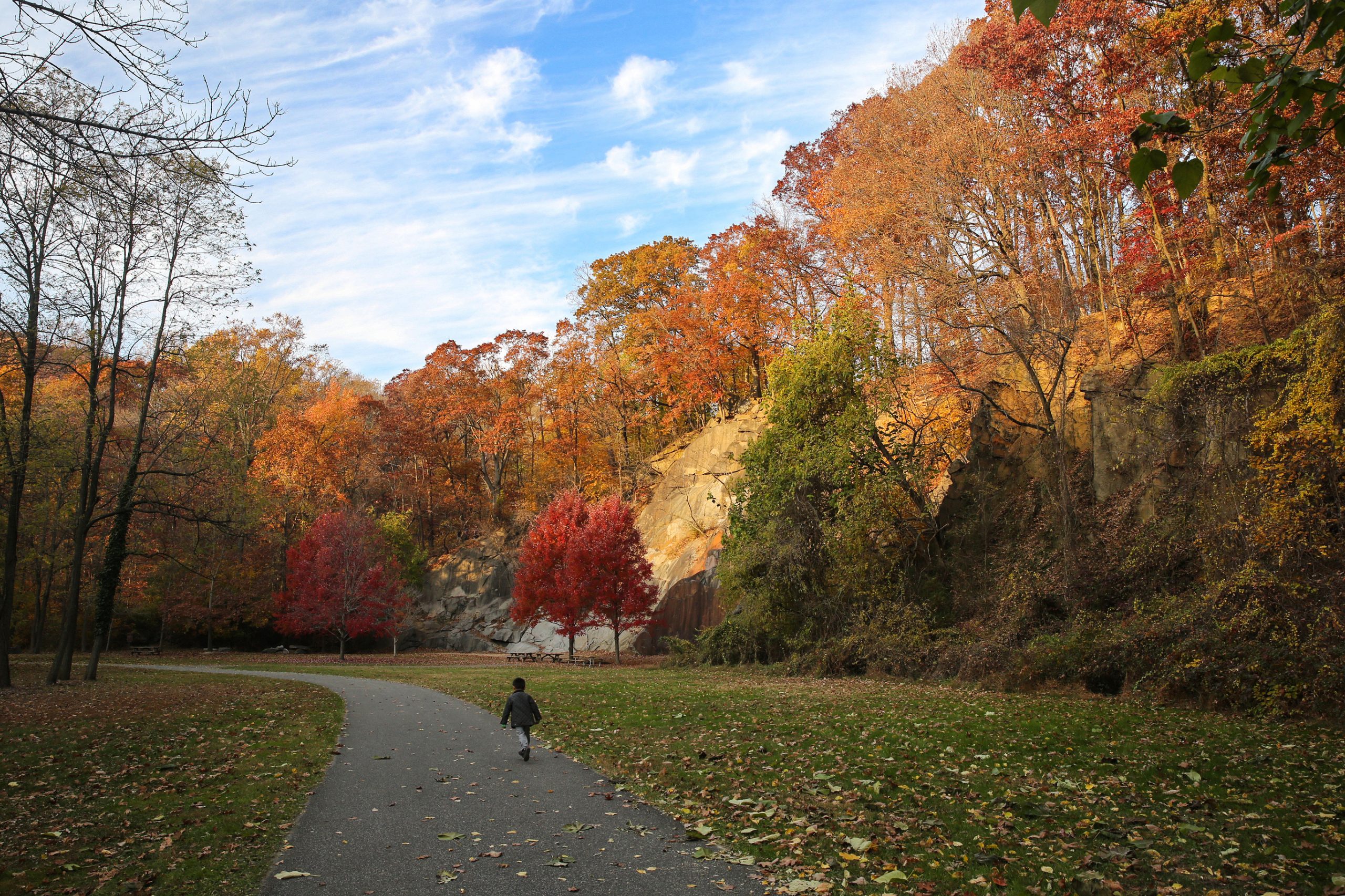 Fall in Alapocas Run State Park, Wilmington, Delaware