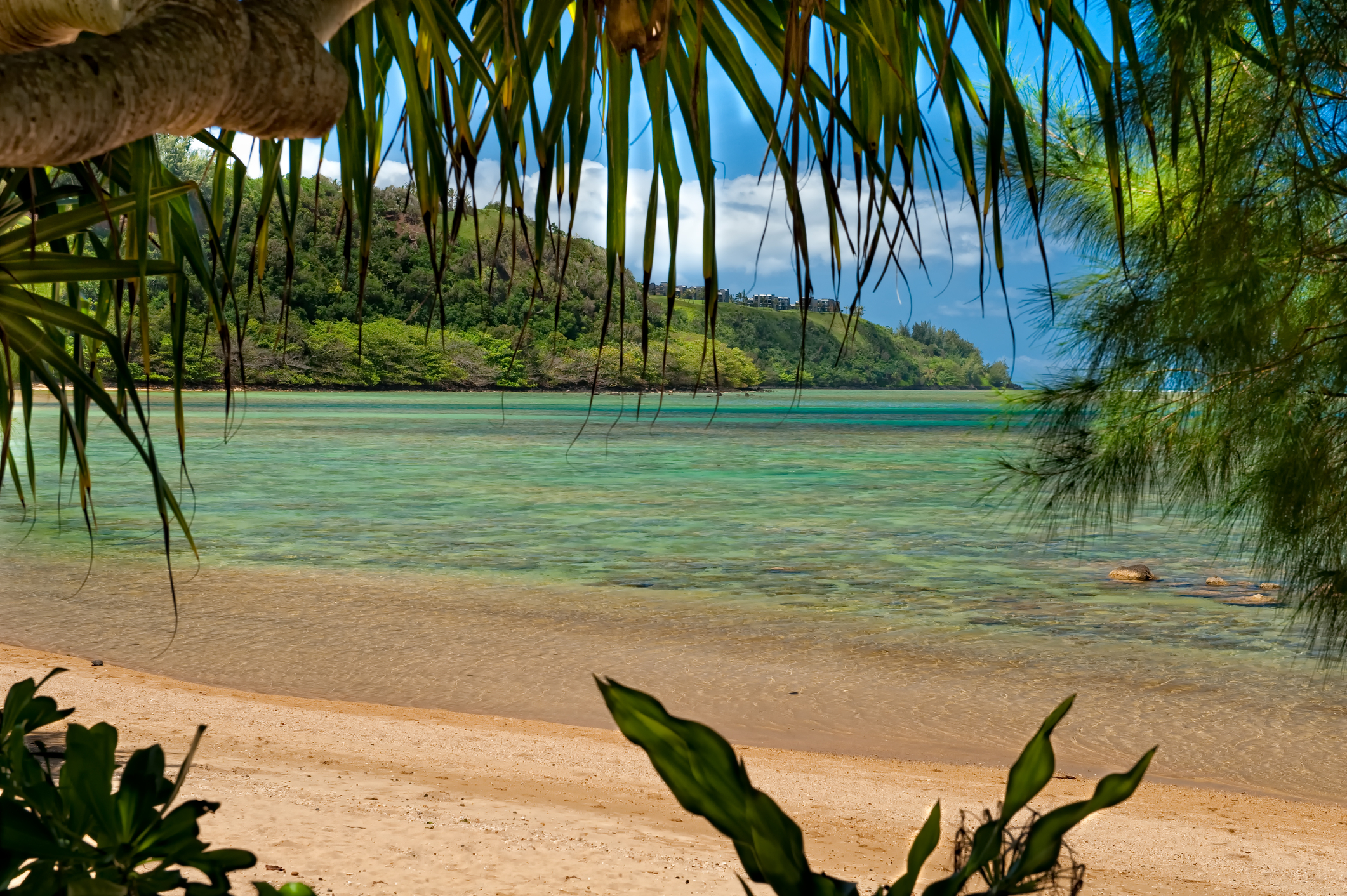 Anini Beach