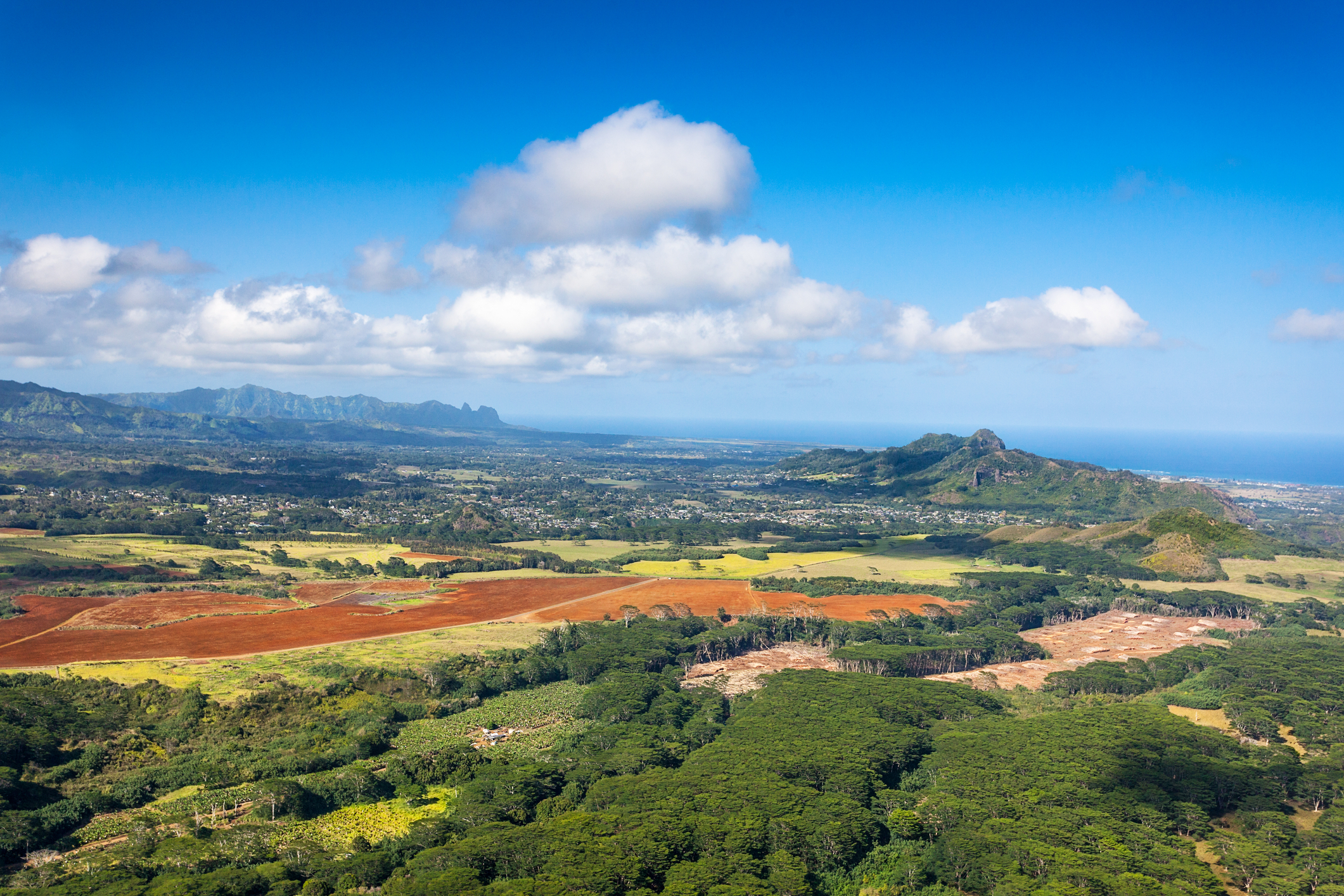 The Kalepa Ridge and Moloaa Forest Reserve