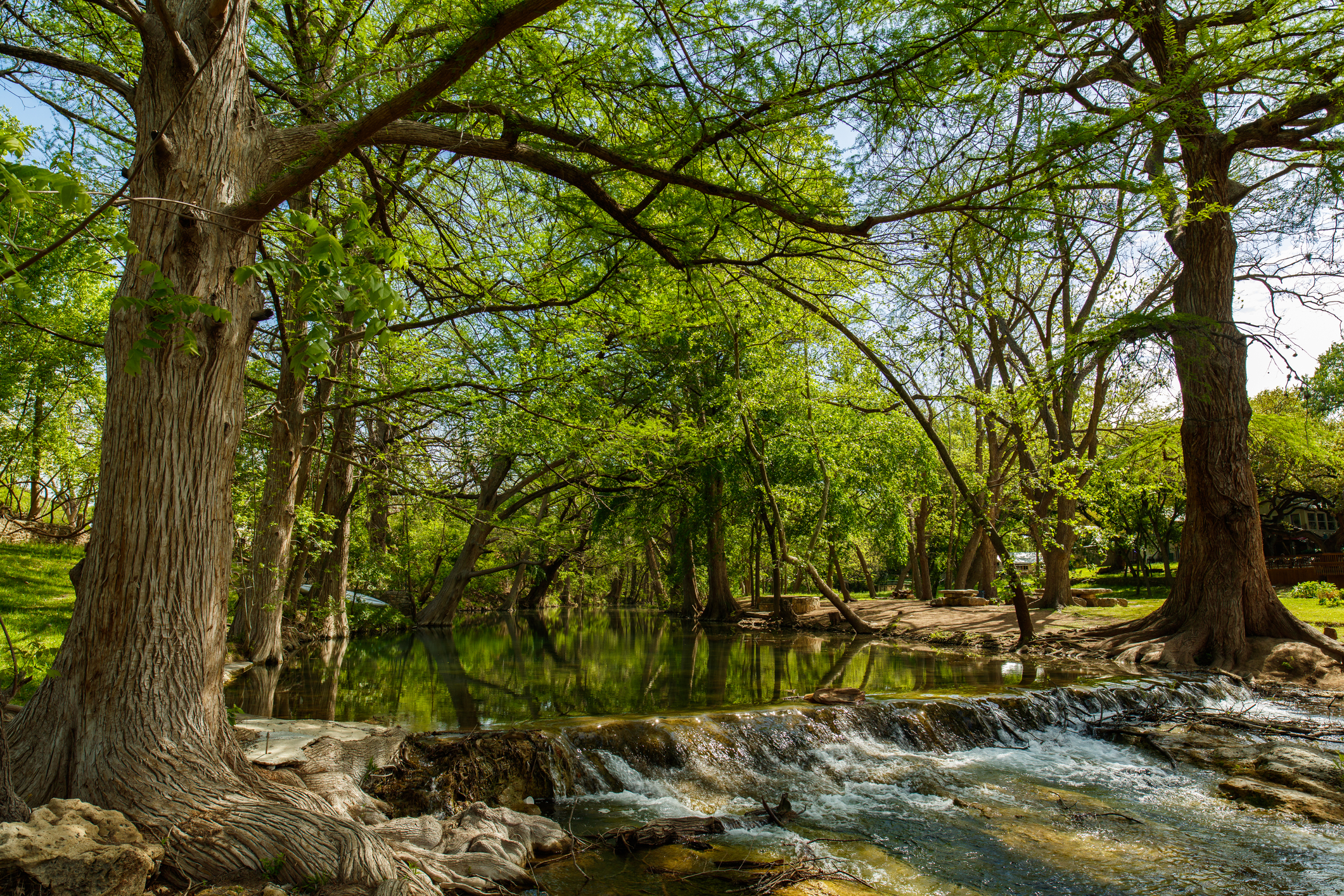 The natural beauty of the Texas Hill Country in the small town of Wimberley