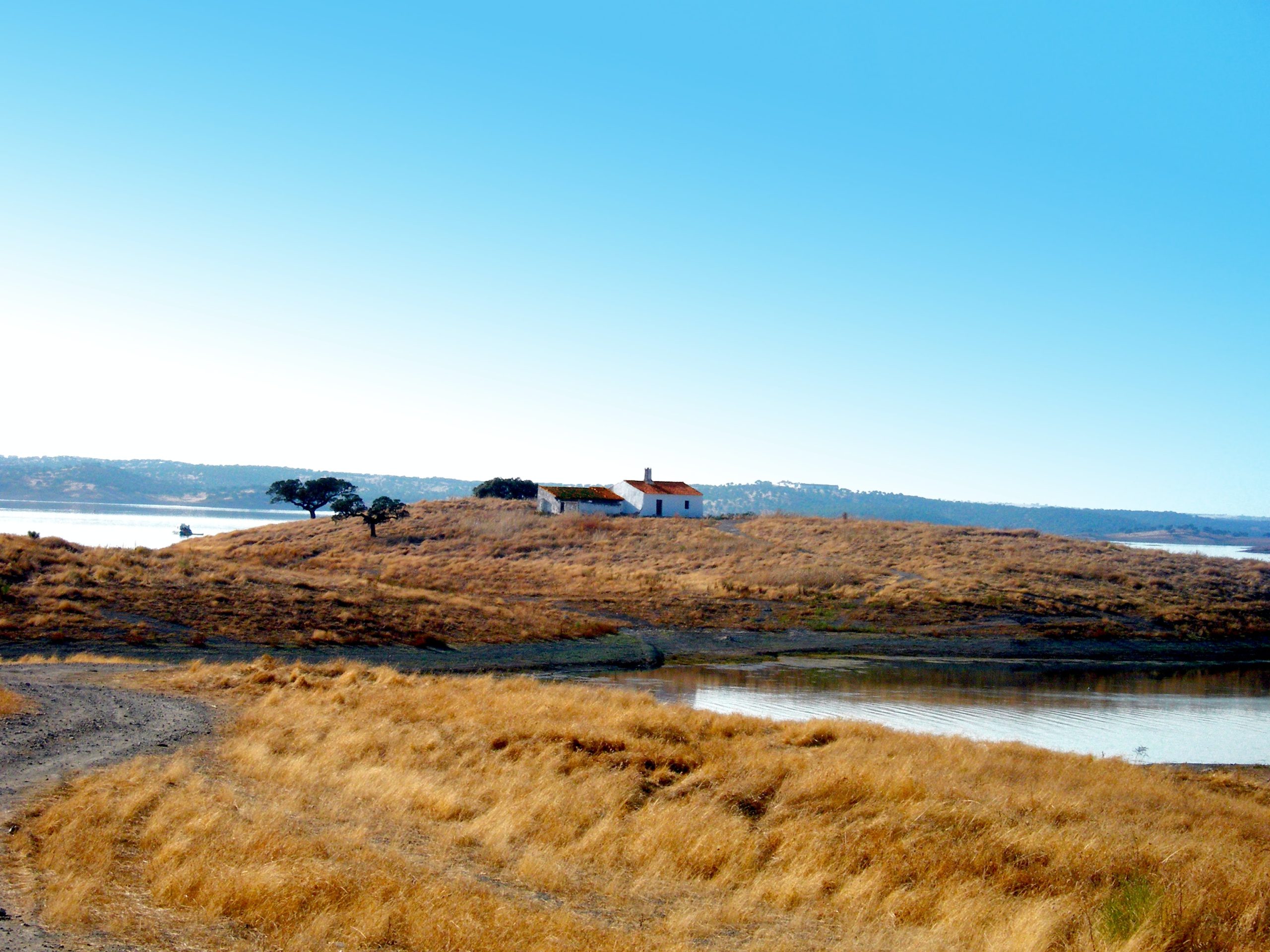 Part of the peaceful lake