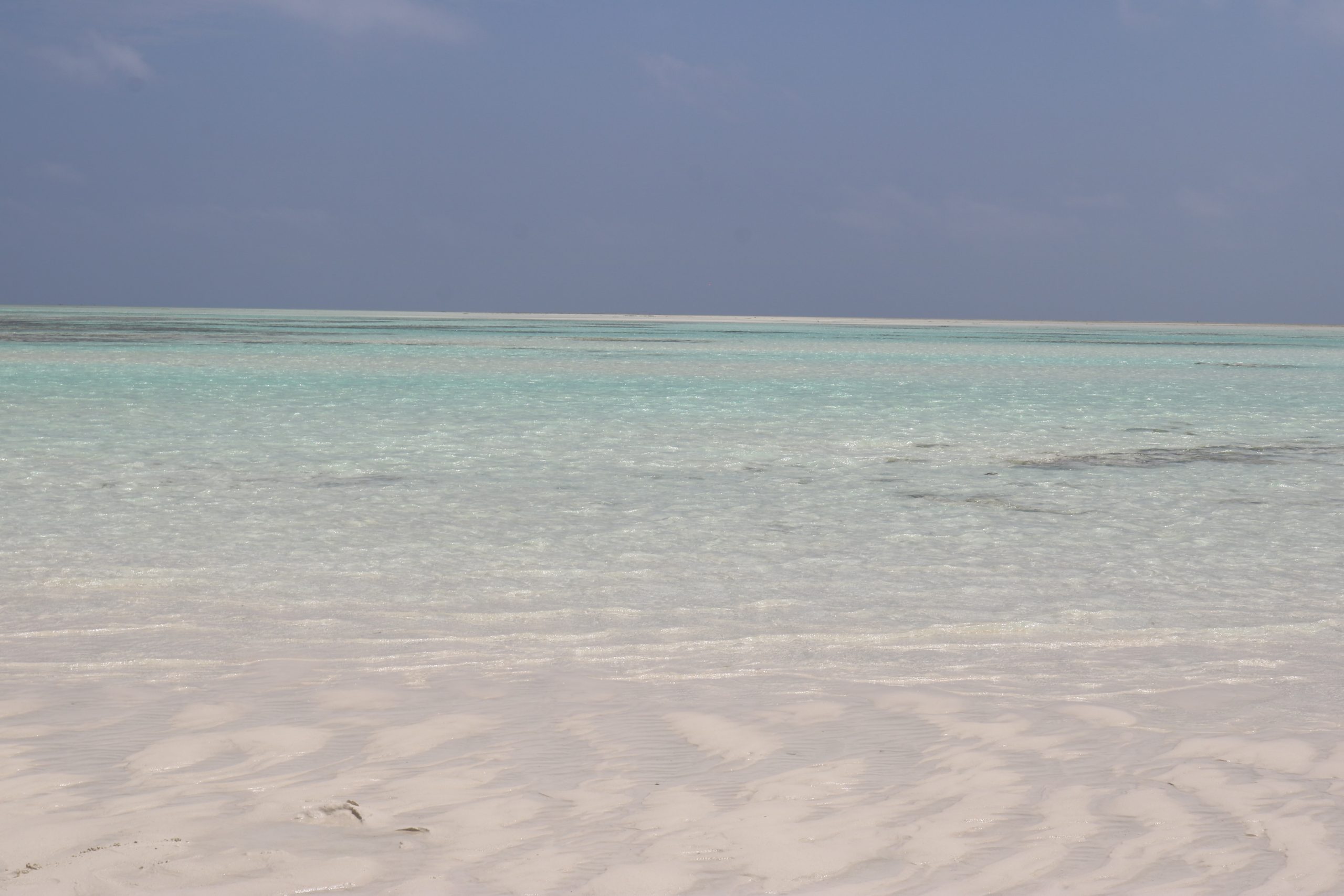 Pastel-toned sea at Mnemba Island, Tanzania