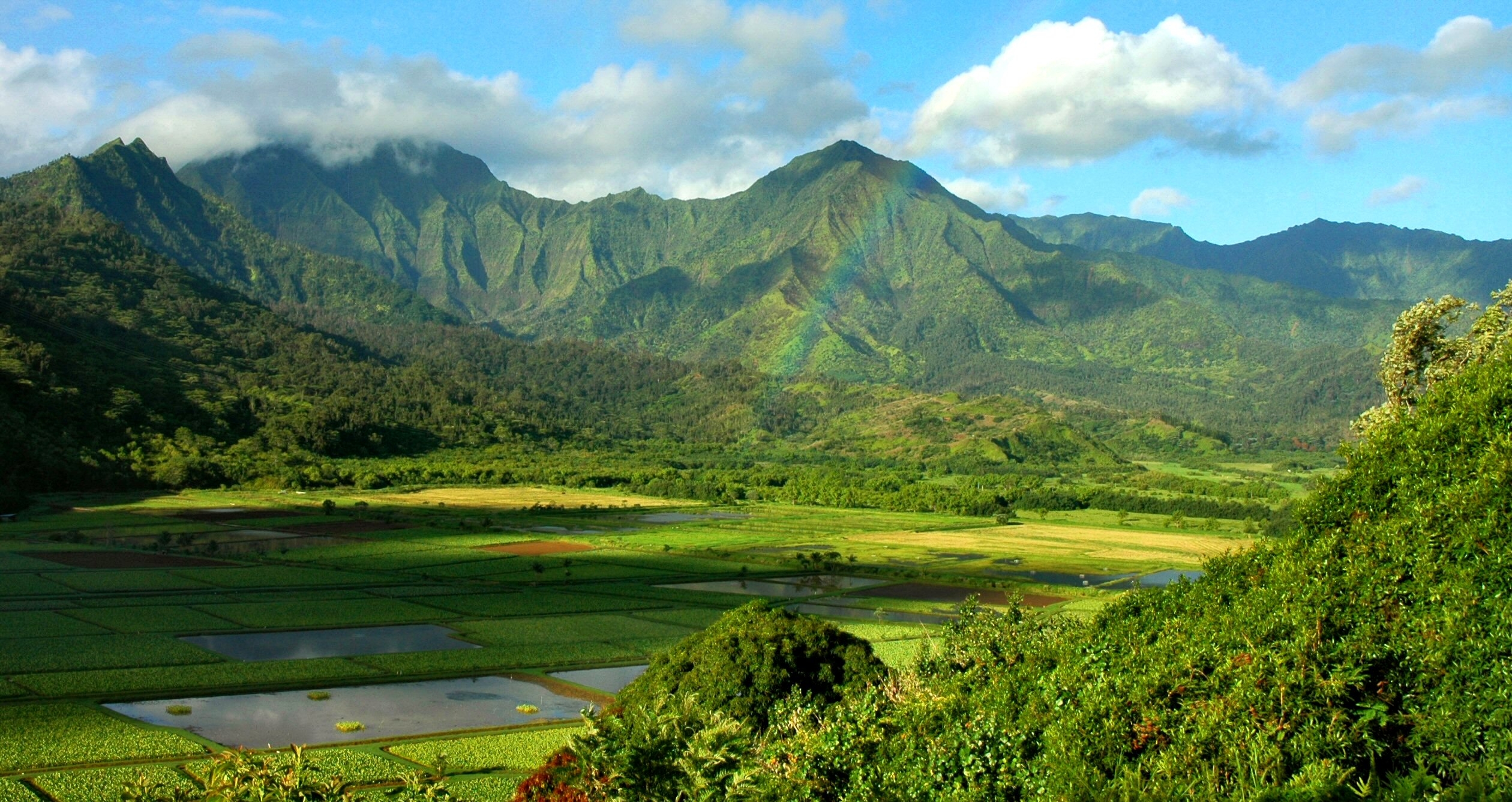 Rainbow in Hanalei Valley, Kauai