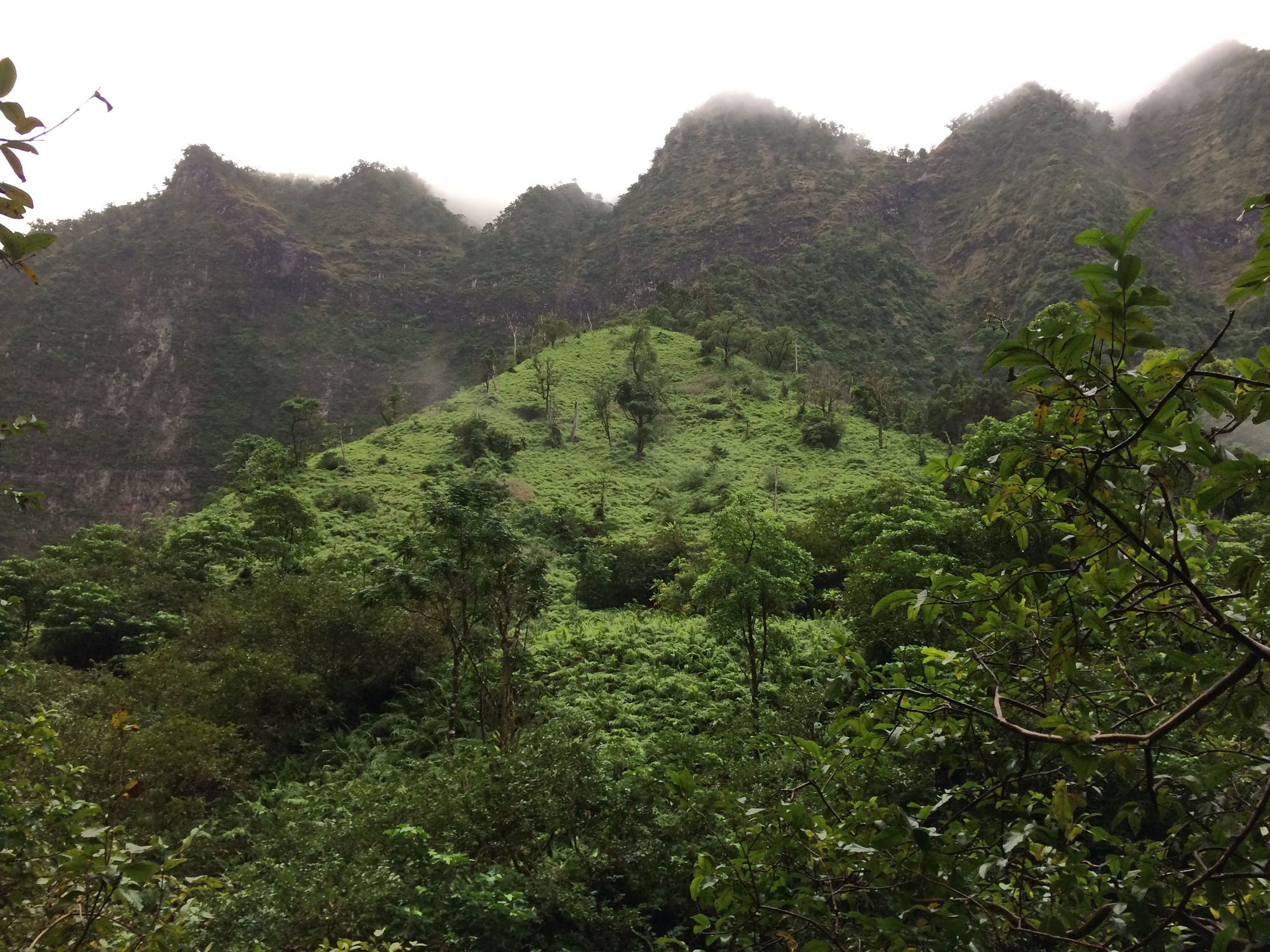 Misty mountain cliffs near Hanakapiai Falls 