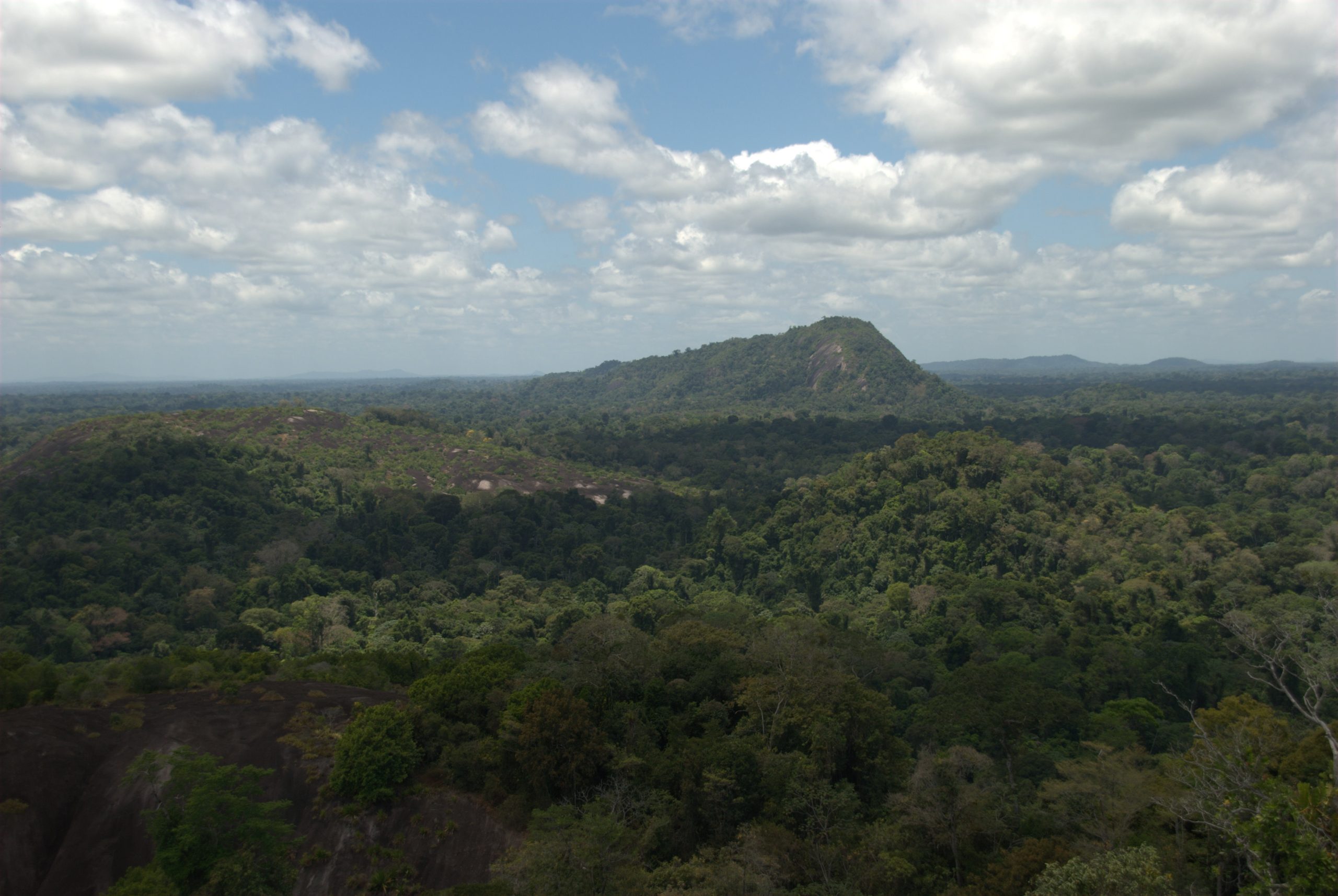 Mount Voltzberg in Sipaliwini, Suriname