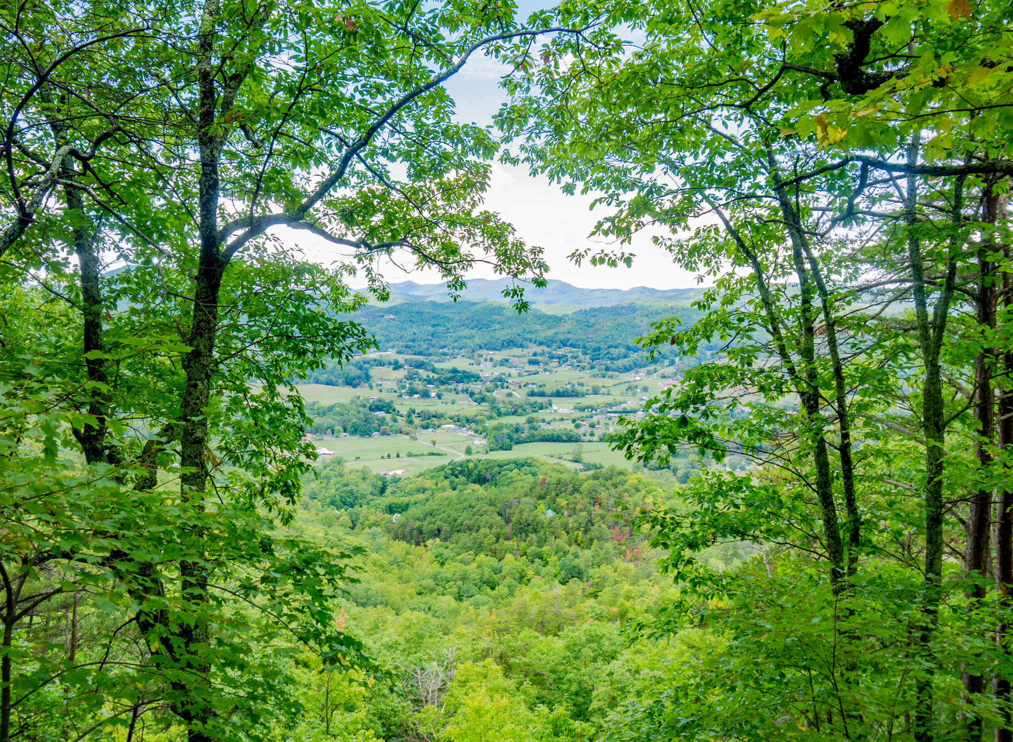 View of Wears Valley from a trail in the Great Smoky Mountains National Park