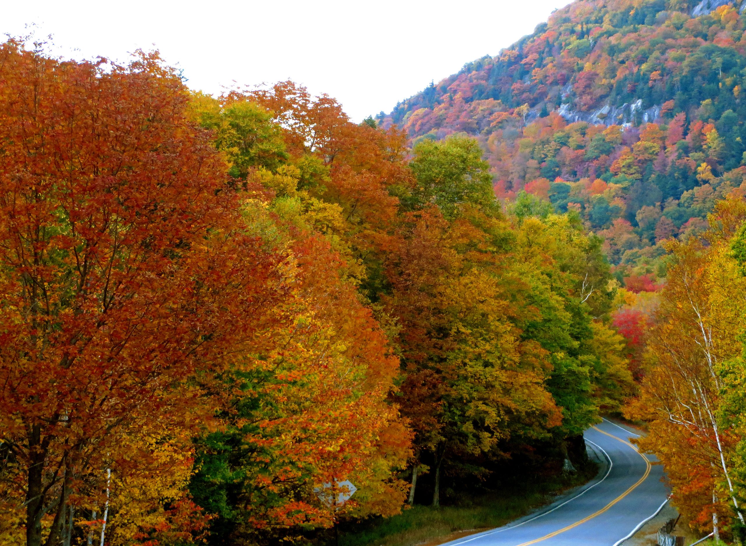 Grafton Notch State Park