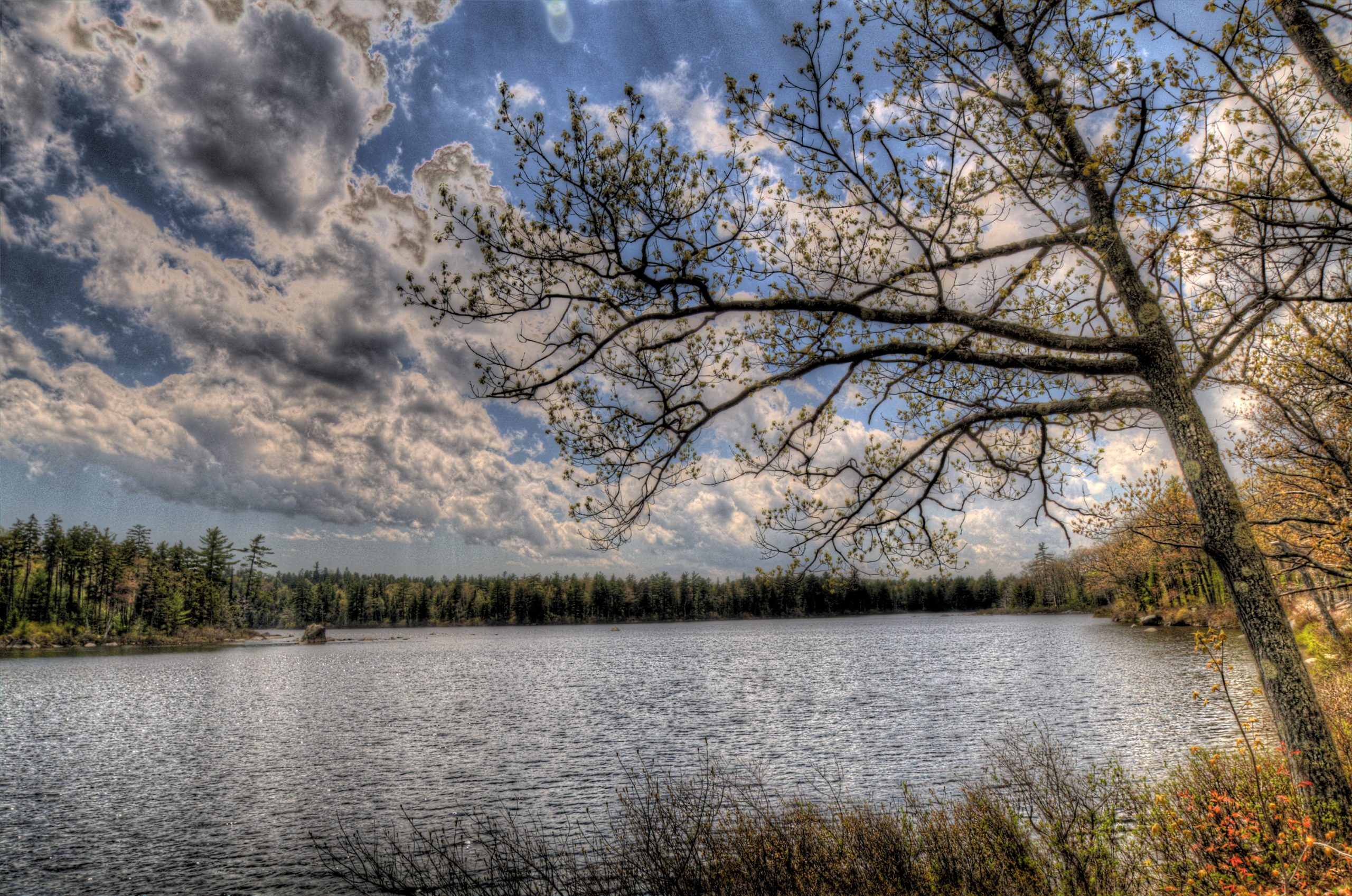 Tunk Lake on Blackwoods Scenic Byway