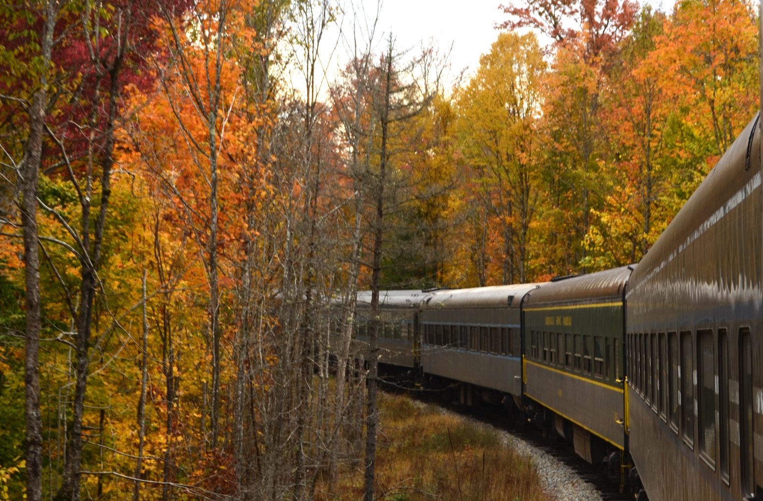 Adirondack Scenic Railroad train rounding a curve in the track surrounded by colorful trees