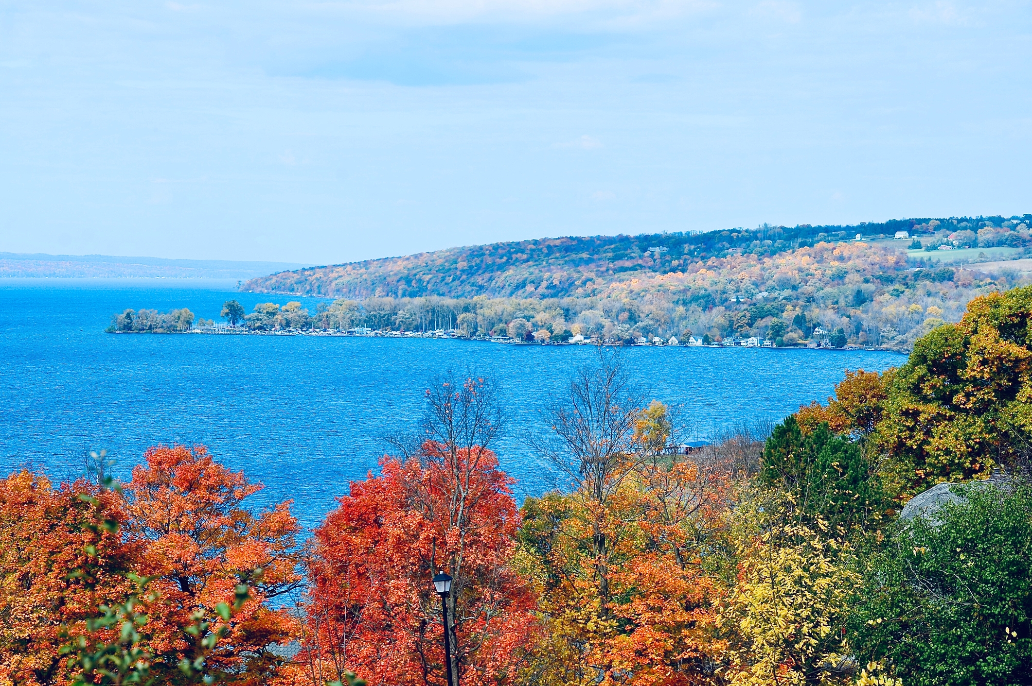 Autumn color foliage, Cayuga Lake and mountains as the background