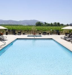 Pool with a view of vineyards and the mountains