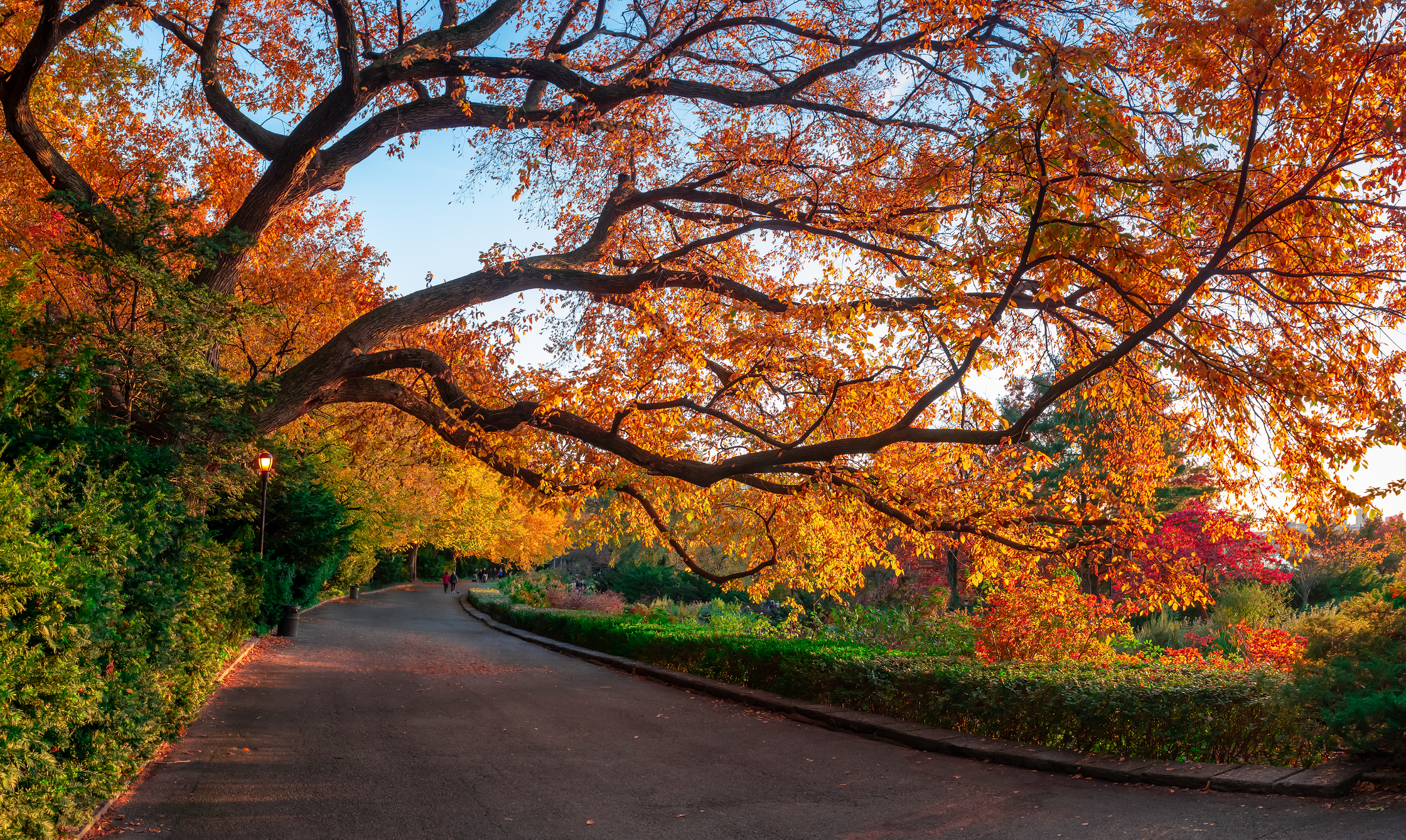 Take a walk and enjoy the colors