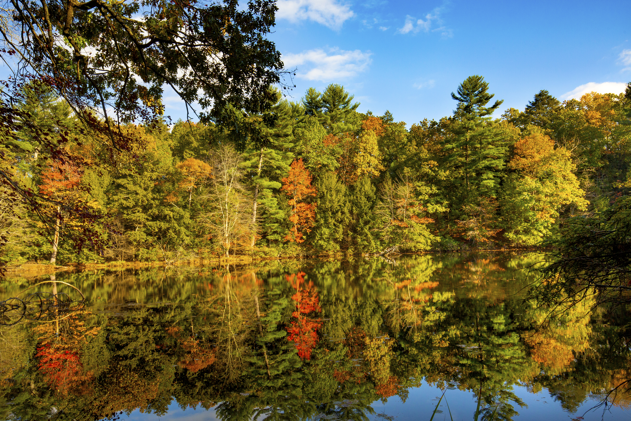 Colorful fall foliage reflects on the surface of Spring Pond, in the McLean Game Refuge in Granby, Connecticut