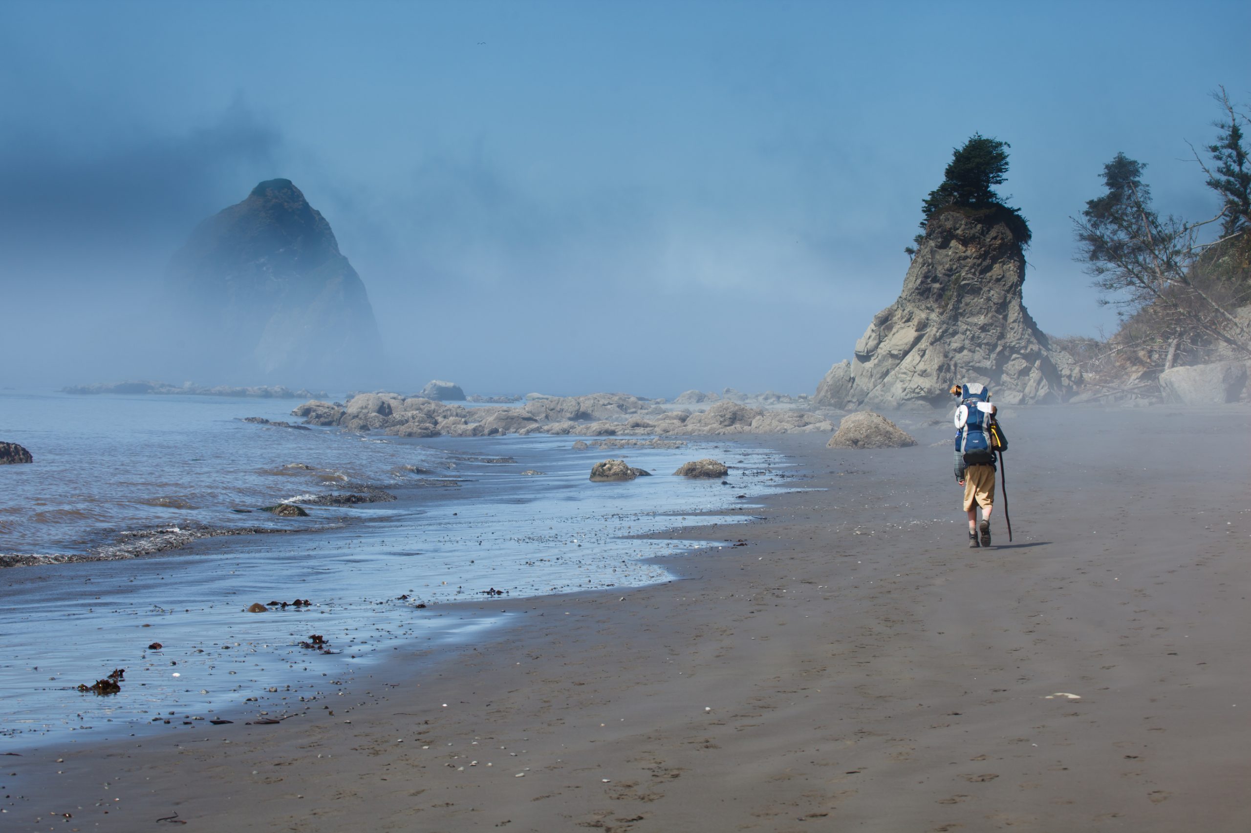 hiking on the beach in Olympic National Park