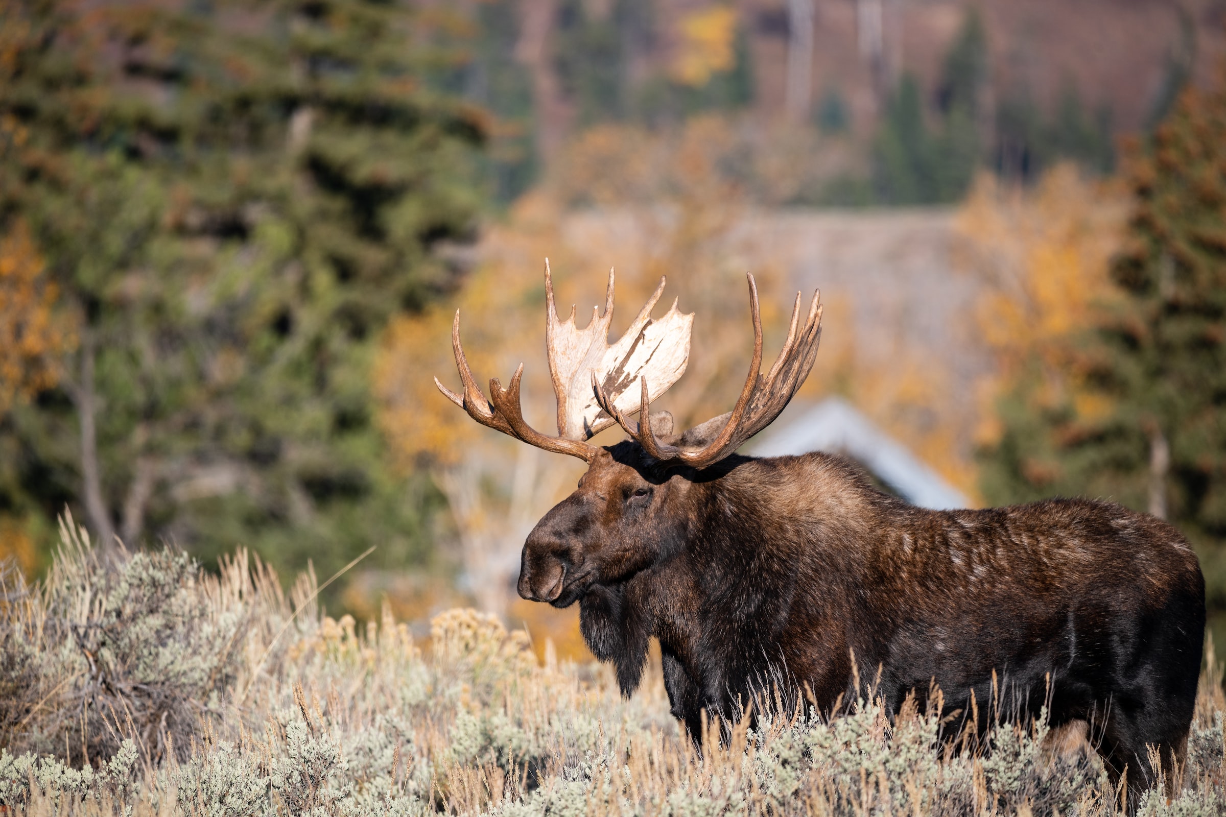 Fish River National Scenic Byway