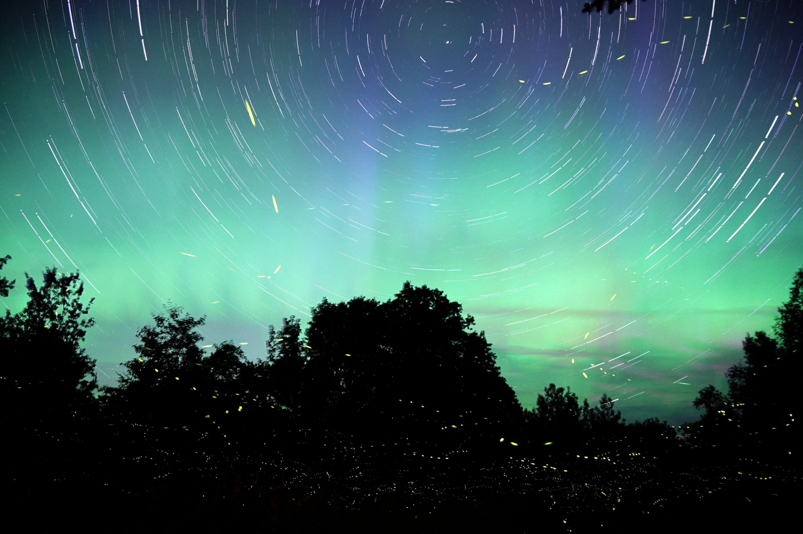 Northern lights in Maine