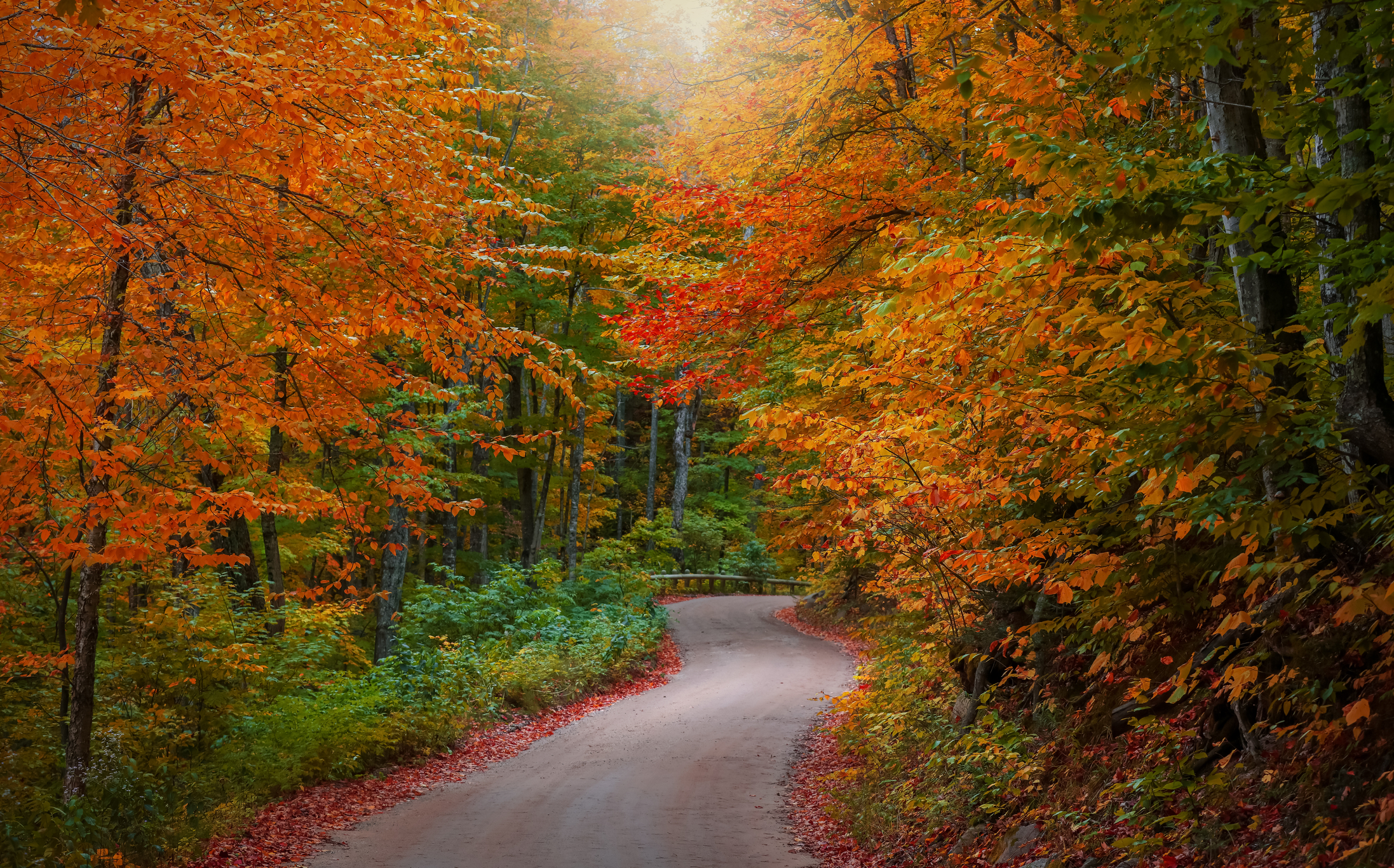 Bright autumn trees along scenic byway in Michigan's Upper Peninsula