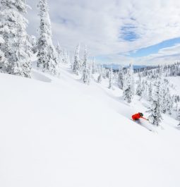 Skier descending down the snowy forest trail