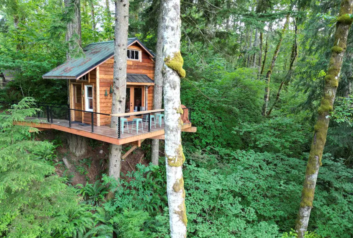 Treehouse Glamping Adventure