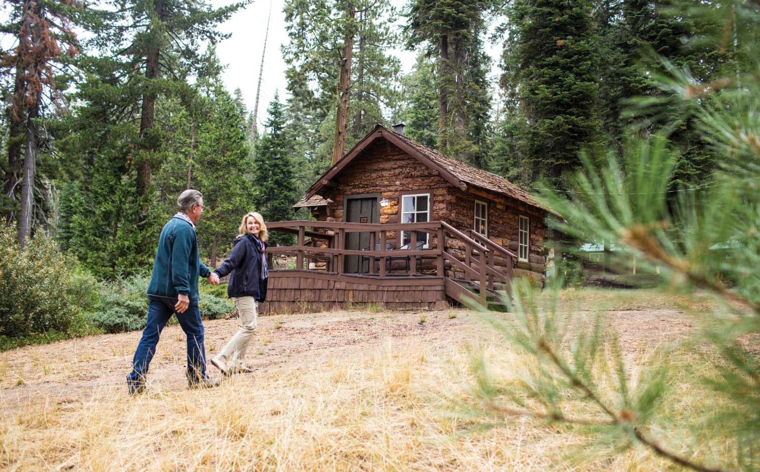 Grant Grove Cabins