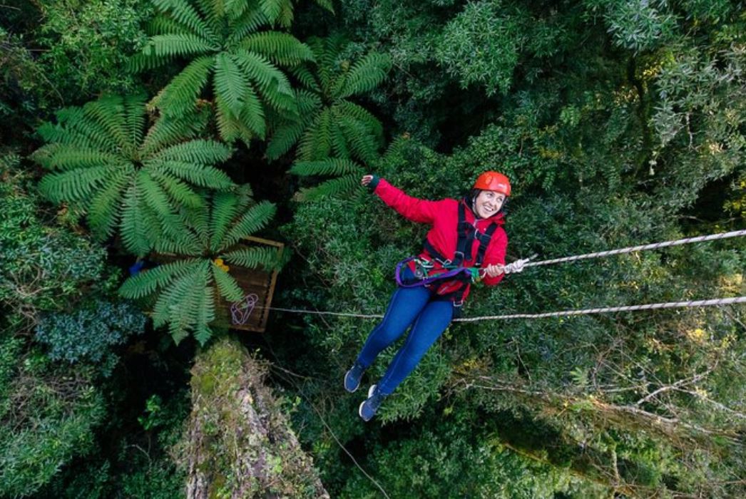 Ziplining Forest Experience - The Ultimate Canopy Tour Rotorua, New Zealand