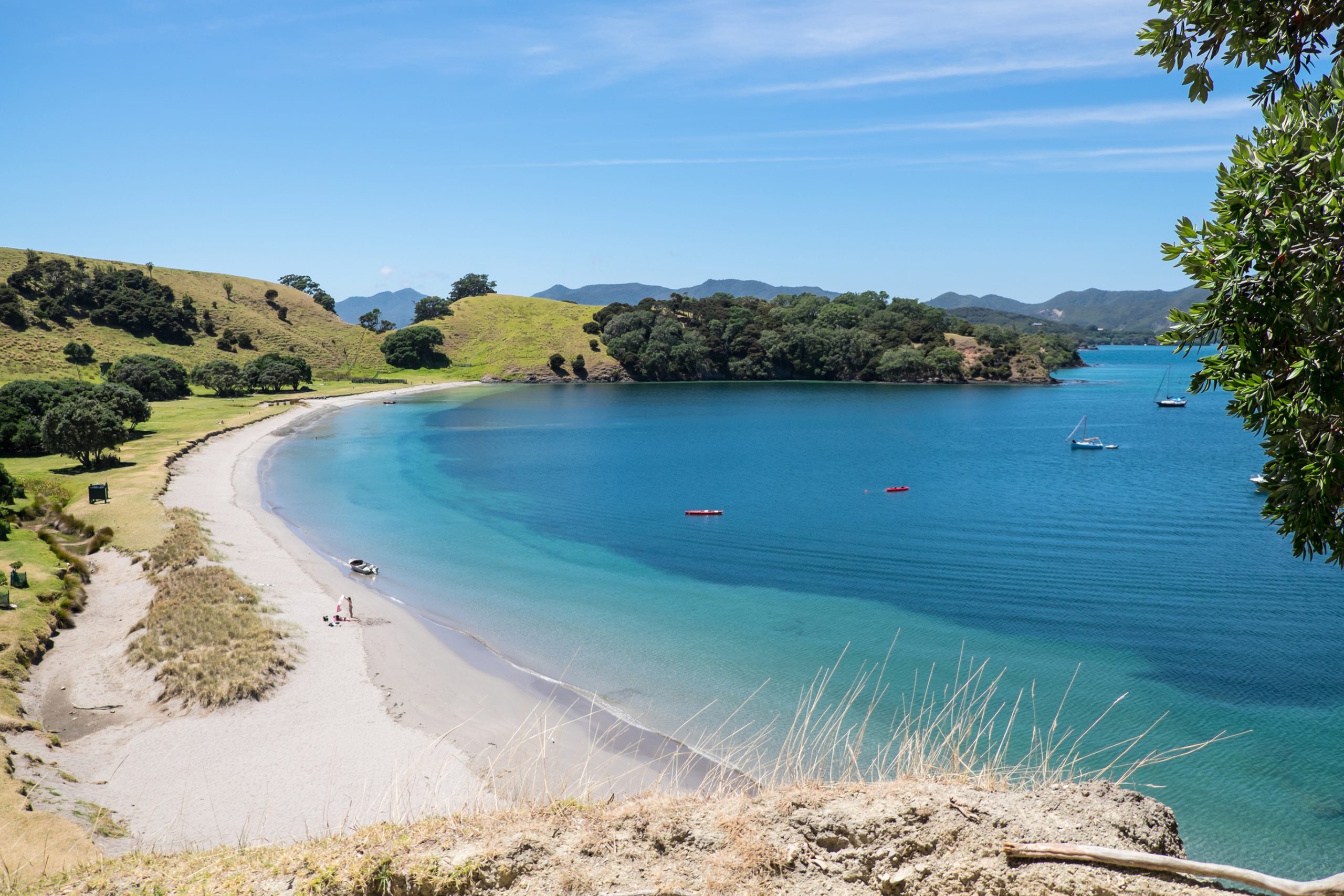 Urupukapuka Island, Bay of Islands, New Zealand