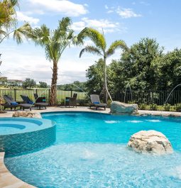 Spacious circular pool with palm tree backdrop