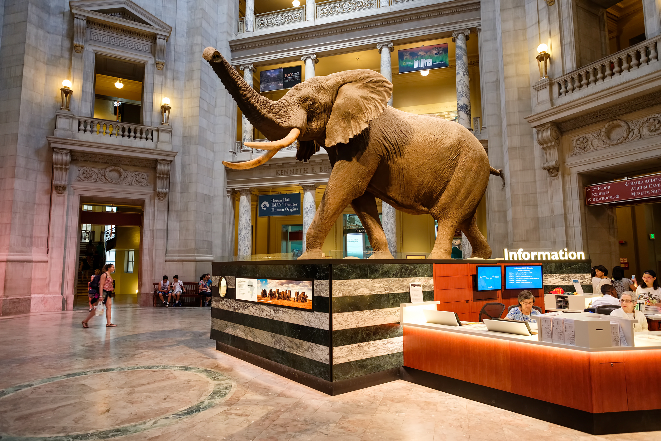 National Museum of Natural History in Washington D.C