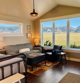 Living room of a cabin with a gas stove and mountain view